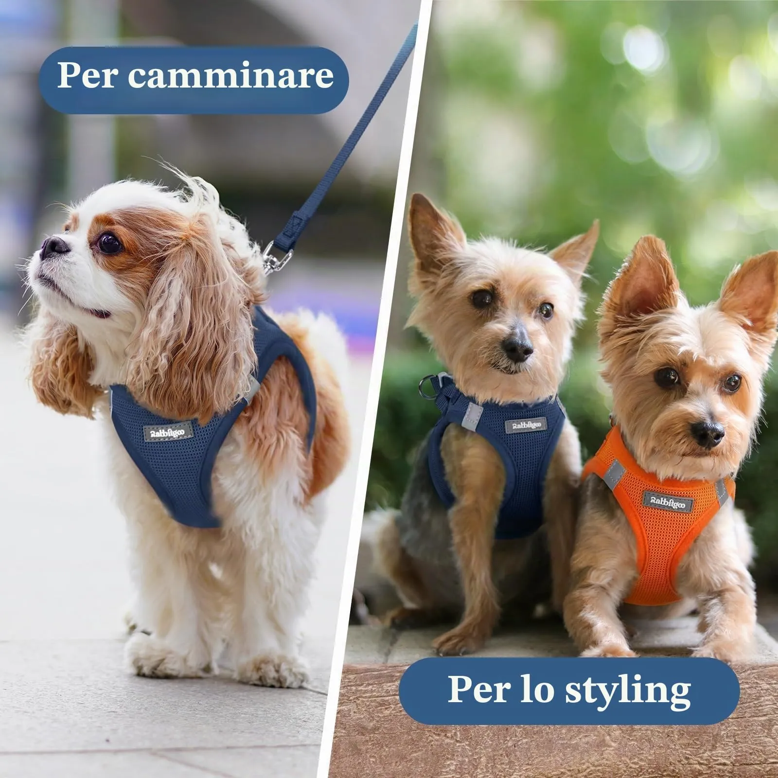 rabbitgoo Pettorina Cane Taglia Piccola, Blu Scuro S - immagine 9