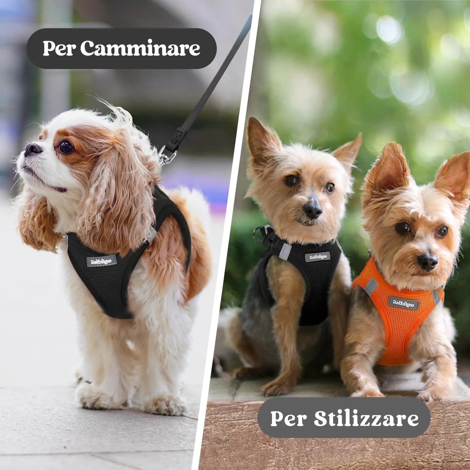 rabbitgoo Pettorina Cane, Nero, XS - immagine 9