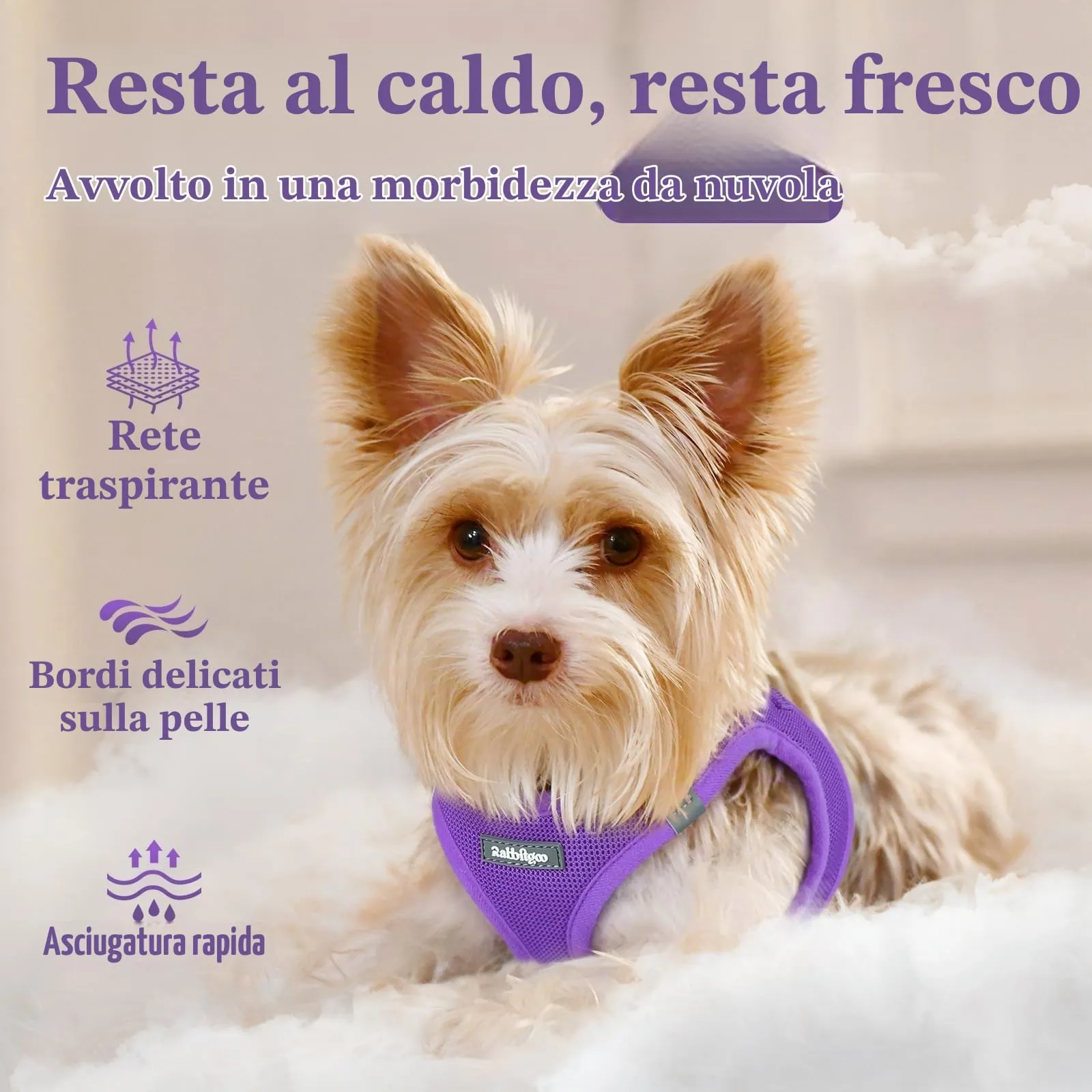 rabbitgoo Pettorina Cane, Viola, XS - immagine 3