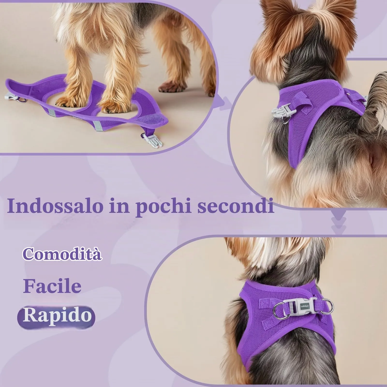 rabbitgoo Pettorina Cane, Viola, XS - immagine 5