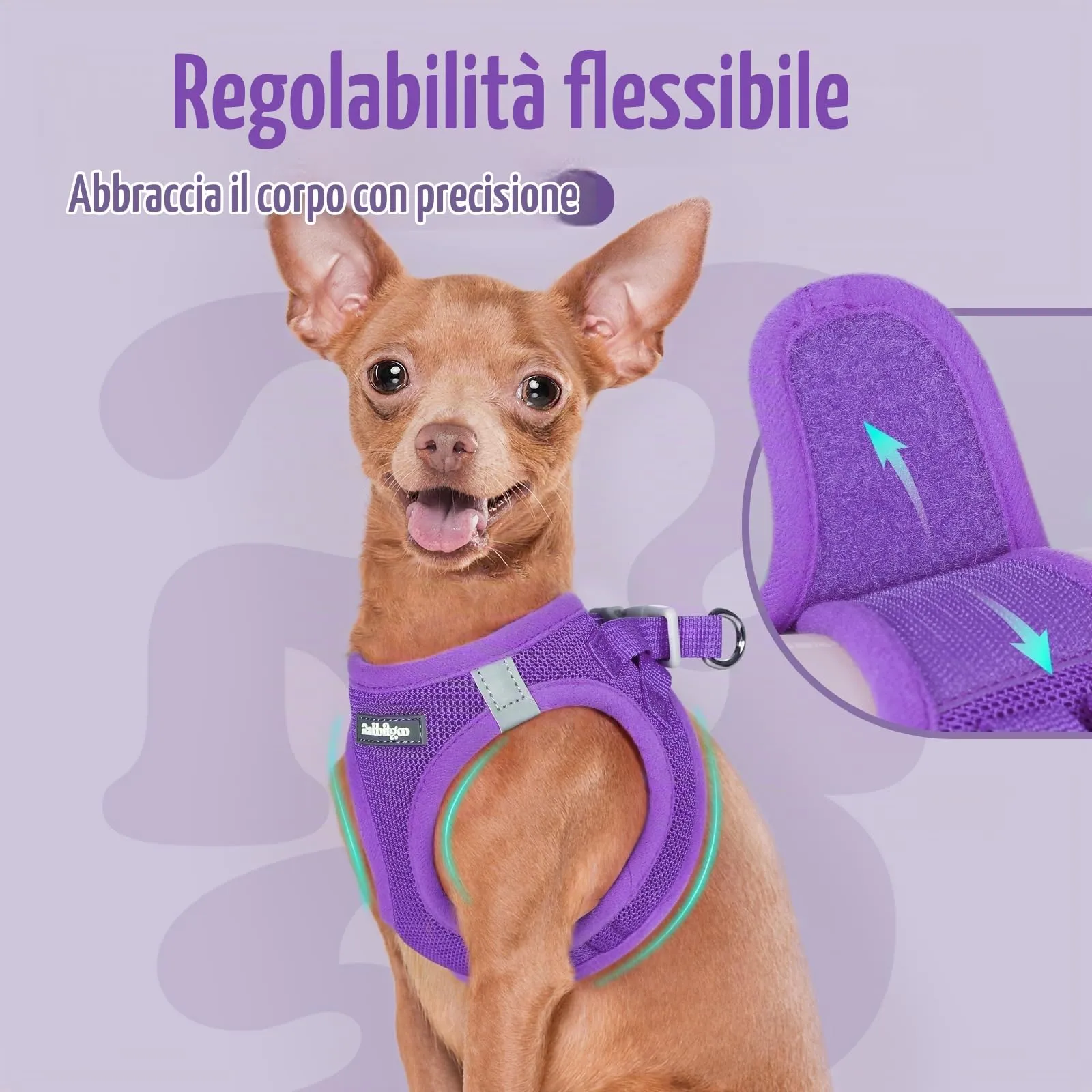 rabbitgoo Pettorina Cane, Viola, XS - immagine 6