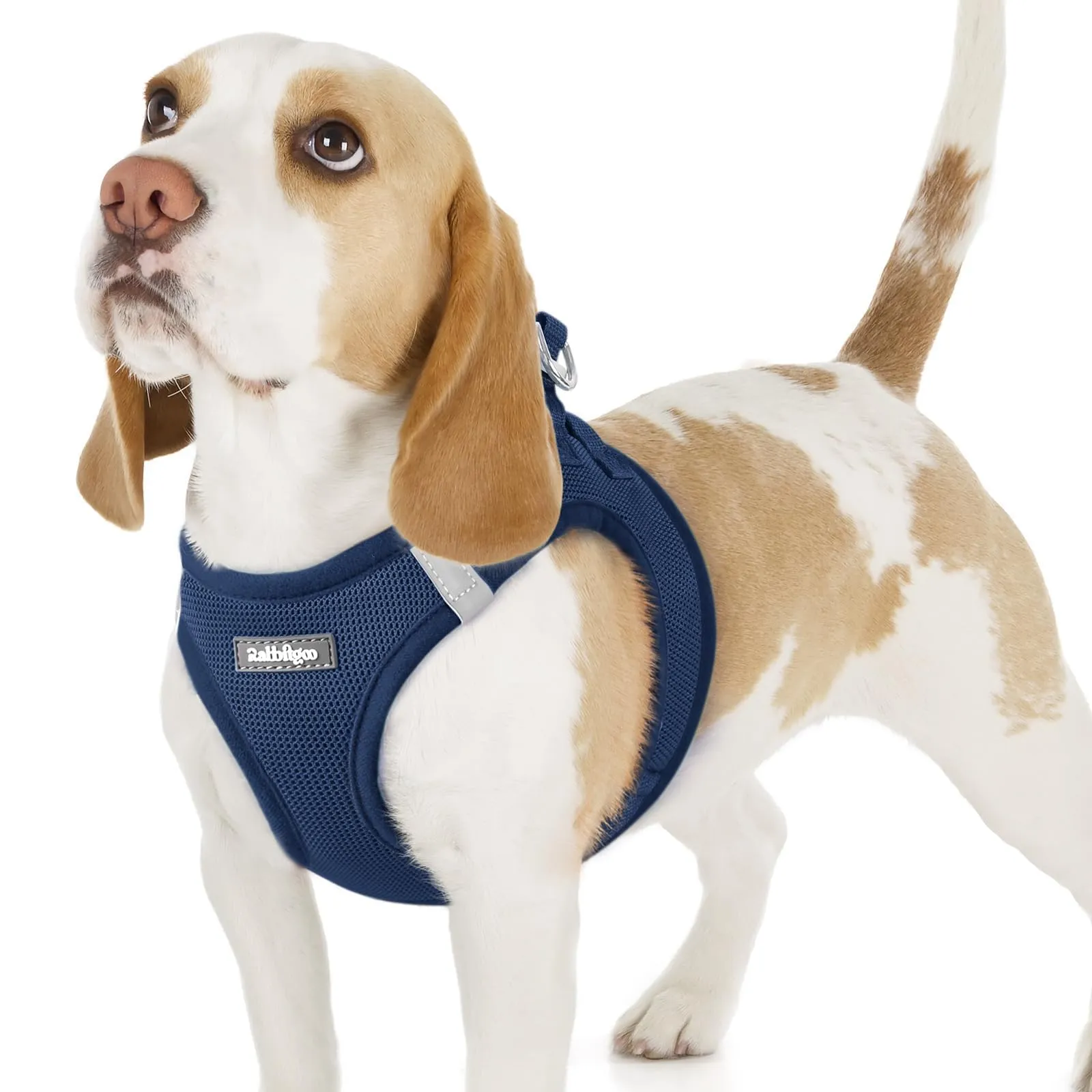 rabbitgoo Pettorina Cane, Blu Scuro, M - immagine 1