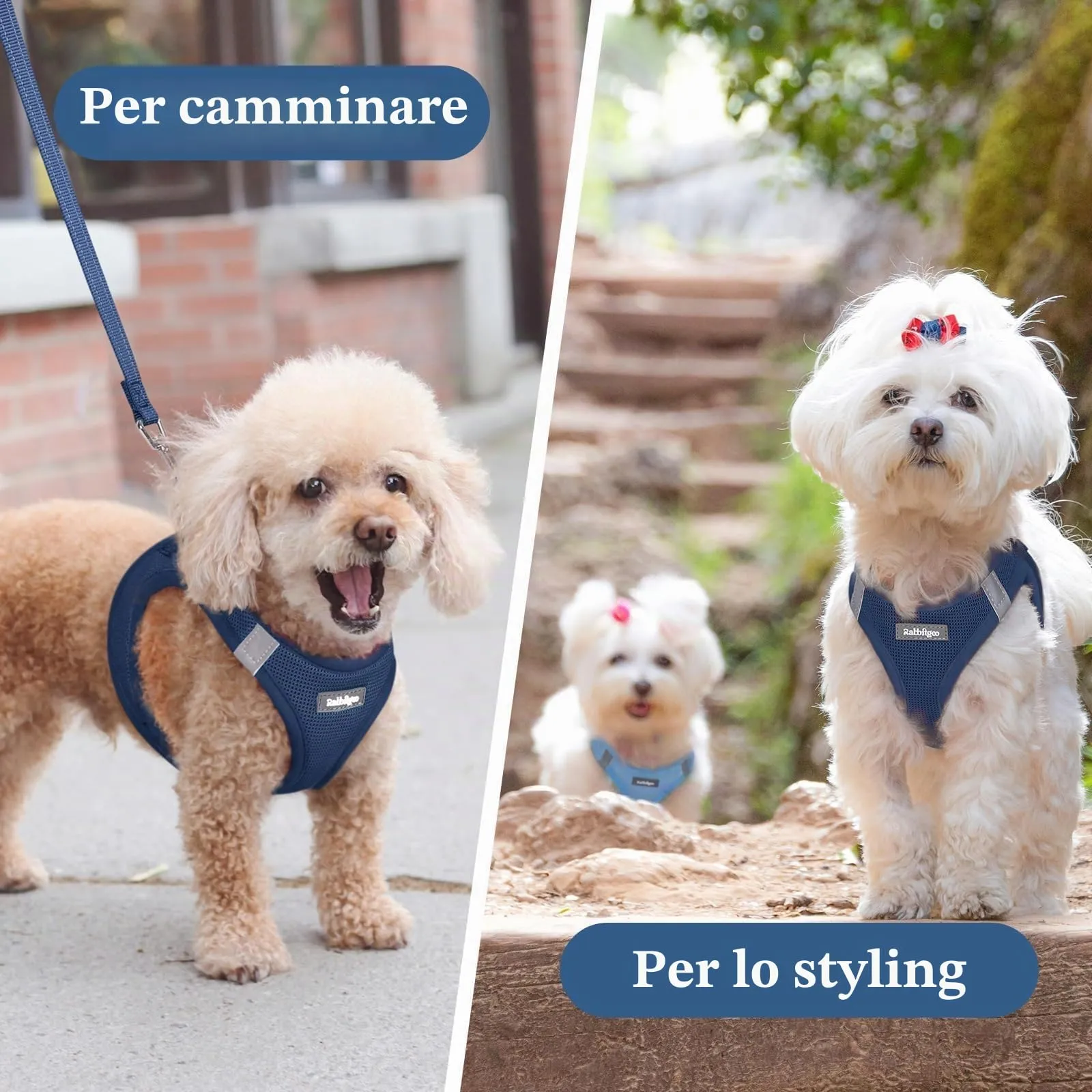 rabbitgoo Pettorina Cane, Blu Scuro, M - immagine 9