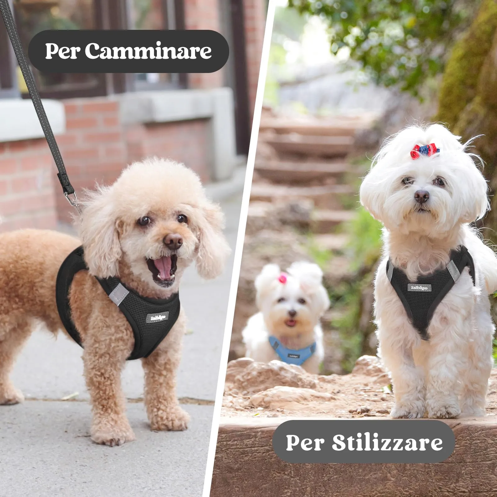 rabbitgoo Pettorina Cane Leggera e Morbida, Nero, Taglia L - immagine 9