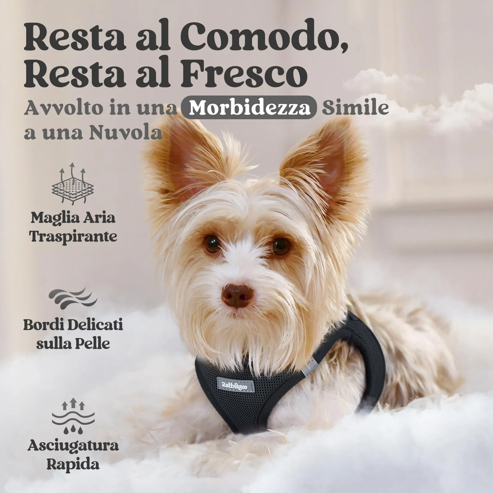 rabbitgoo Pettorina Cane Taglia Piccola, Nero S - immagine 3