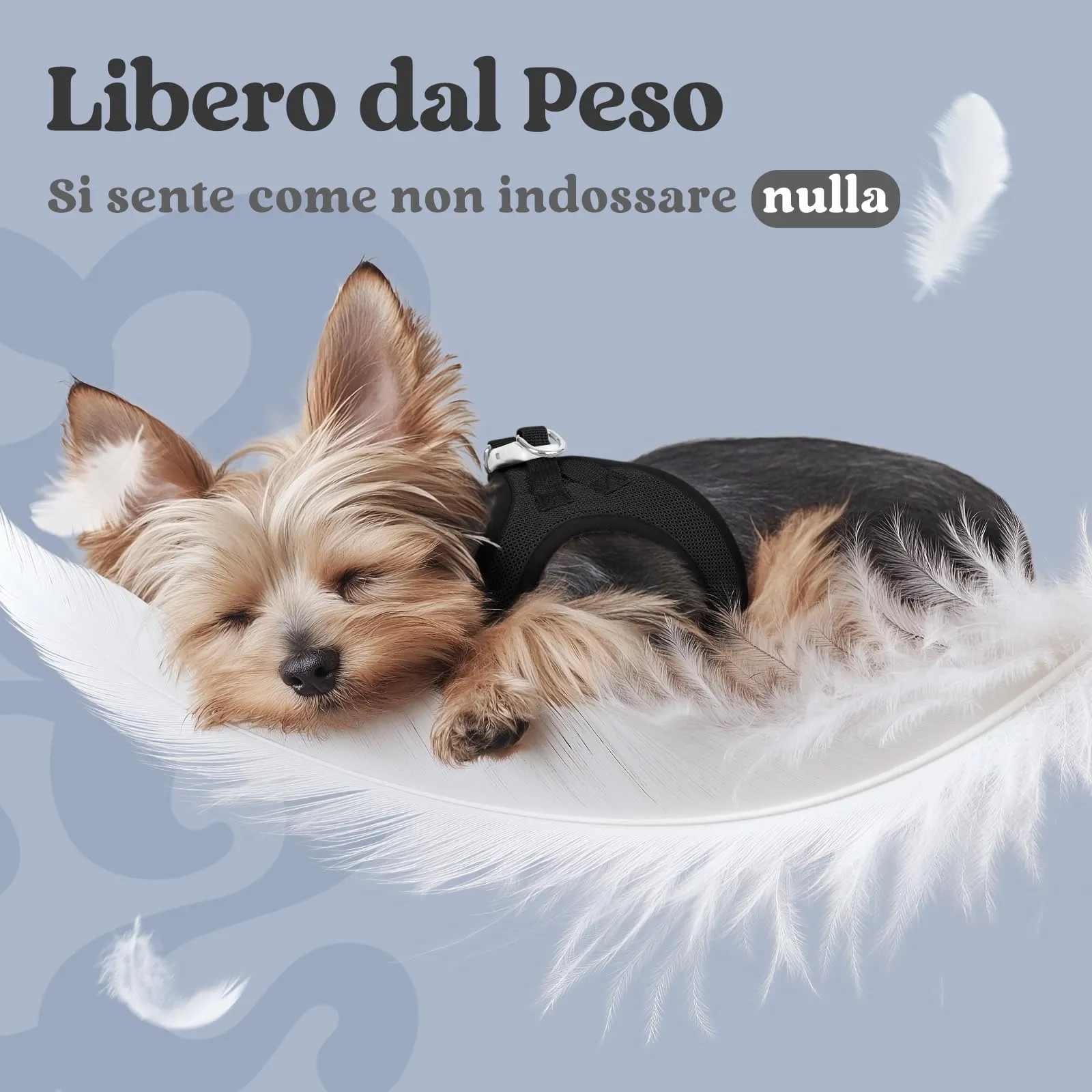 rabbitgoo Pettorina Cane Taglia Piccola, Nero S - immagine 4