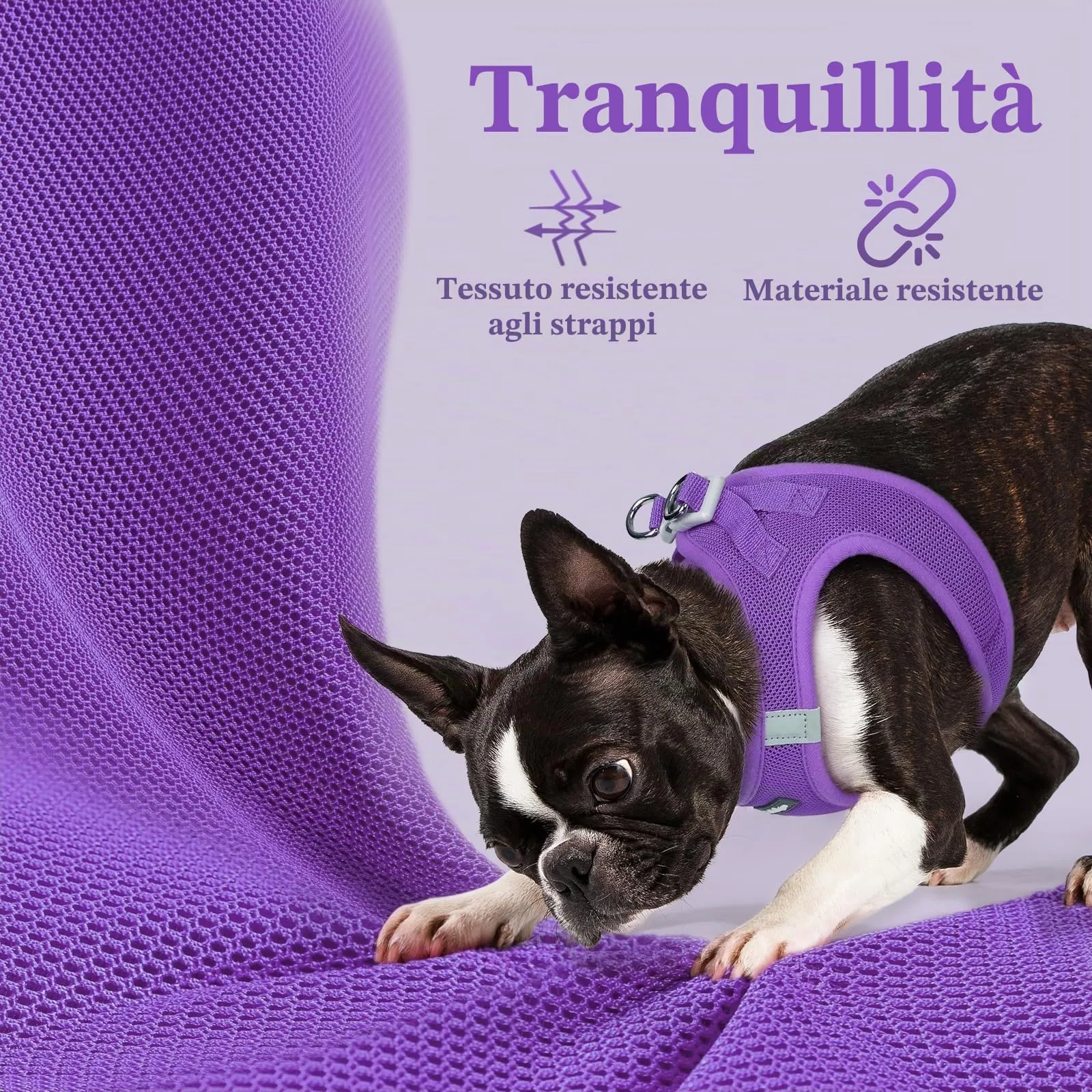 rabbitgoo Pettorina Cane, Viola, Taglia M - immagine 7