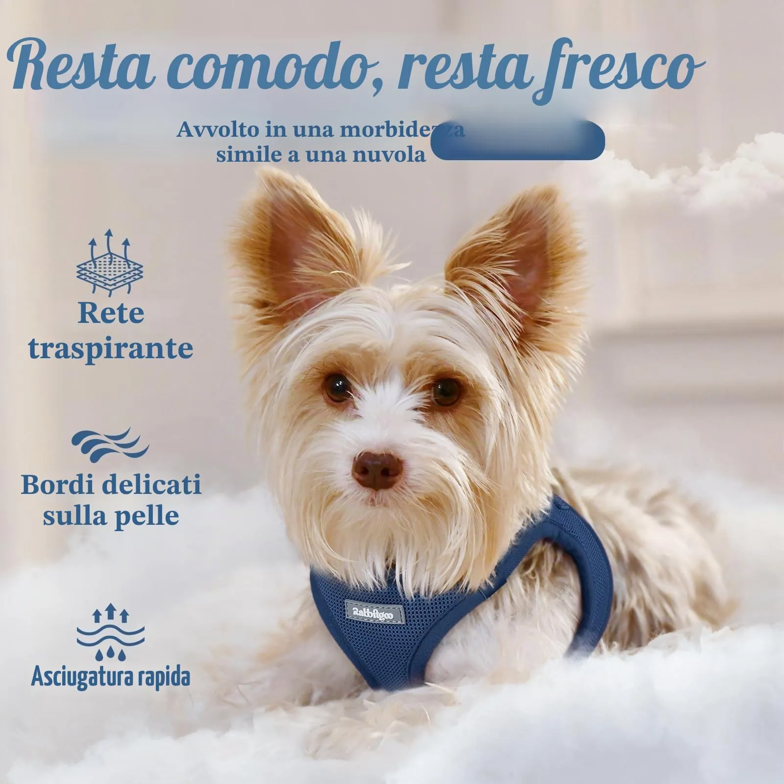 rabbitgoo Pettorina Cane Taglia Piccola, Blu Scuro L - immagine 3