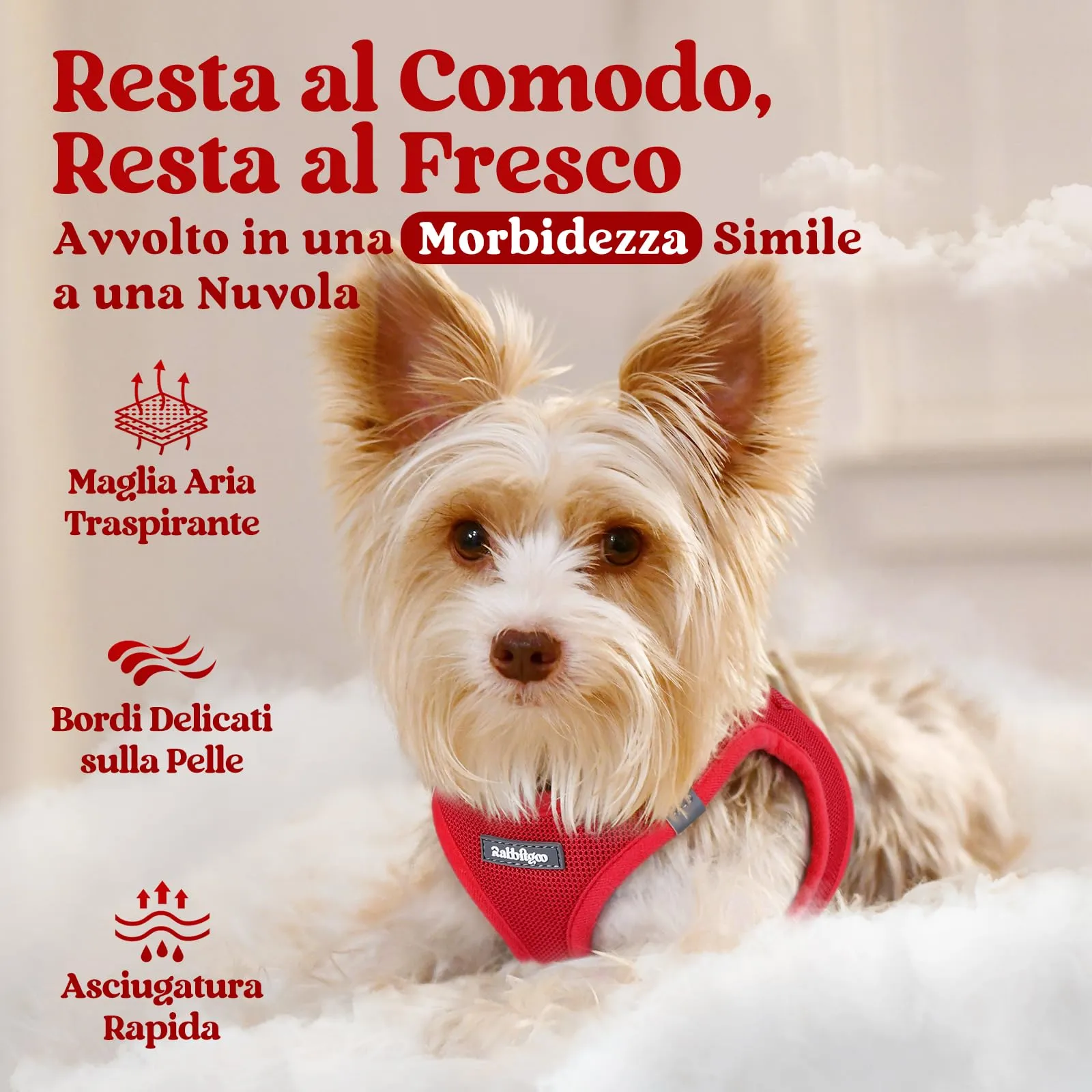 rabbitgoo Pettorina Cane, Leggera e Morbida, Rosso, Taglia M - immagine 3