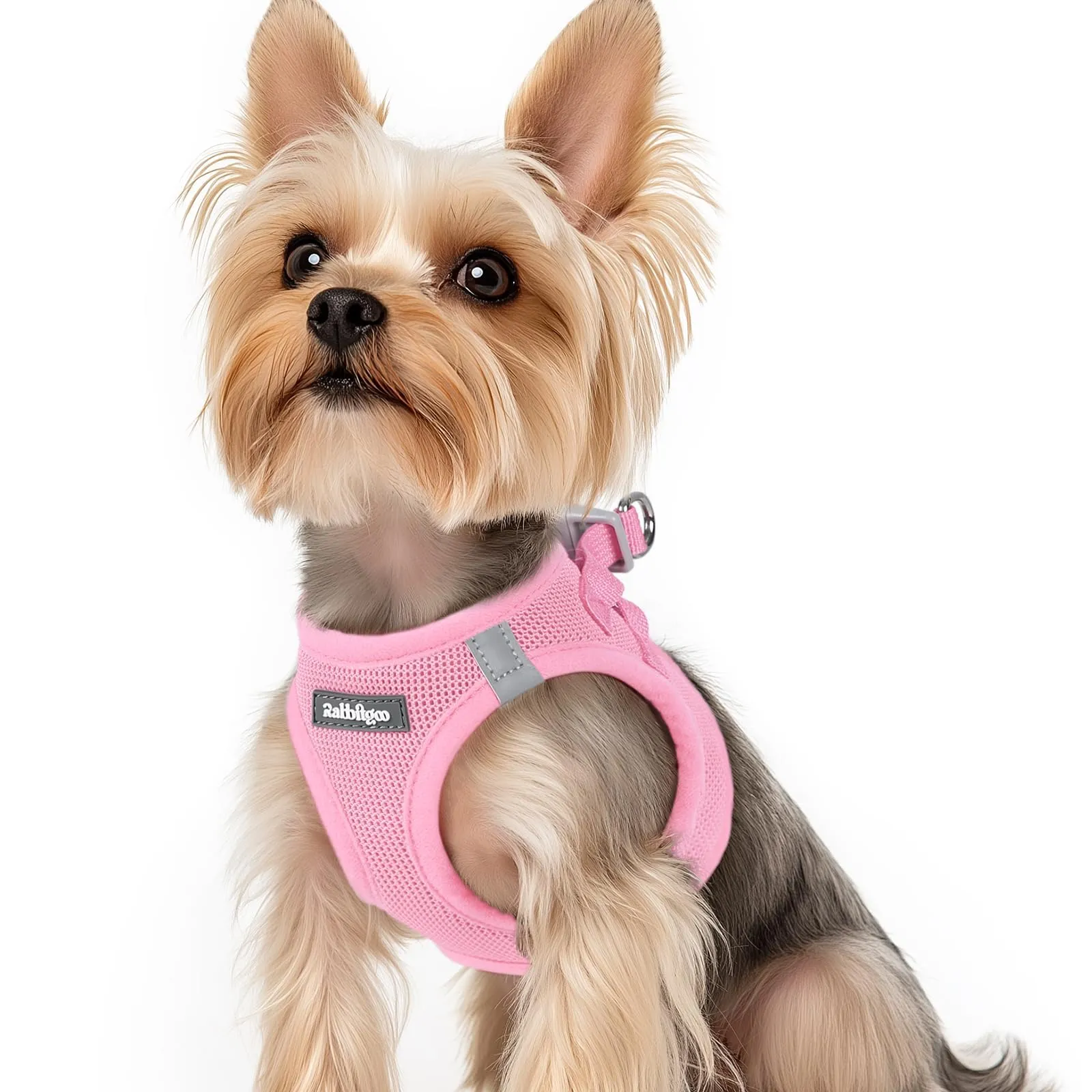 rabbitgoo Pettorina Cane Leggera e Morbida, Rosa, XS - immagine 1