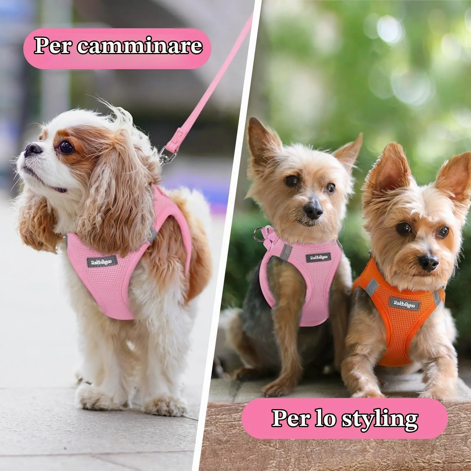rabbitgoo Pettorina Cane Leggera e Morbida, Rosa, XS - immagine 9