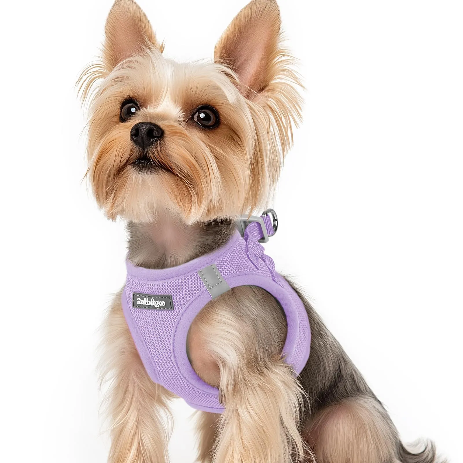 rabbitgoo Pettorina Cane, Lilla, XS - immagine 1