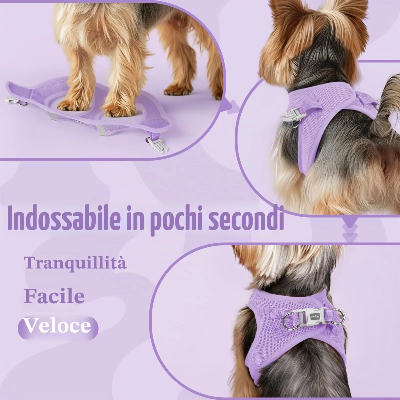 rabbitgoo Pettorina Cane, Lilla, XS - immagine 6
