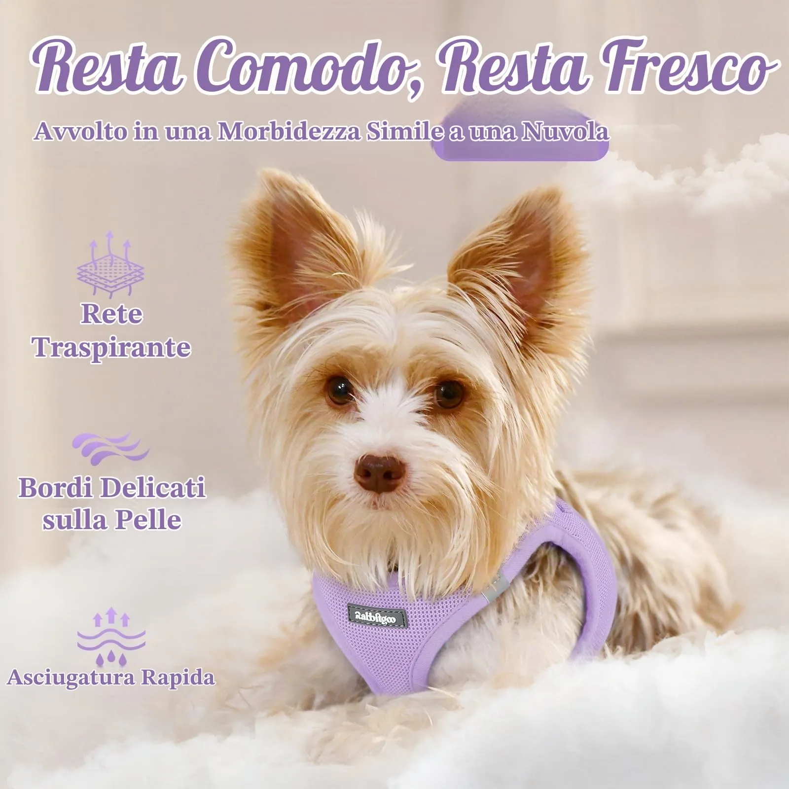 rabbitgoo Pettorina Cane, Taglia S, Lilla - immagine 3
