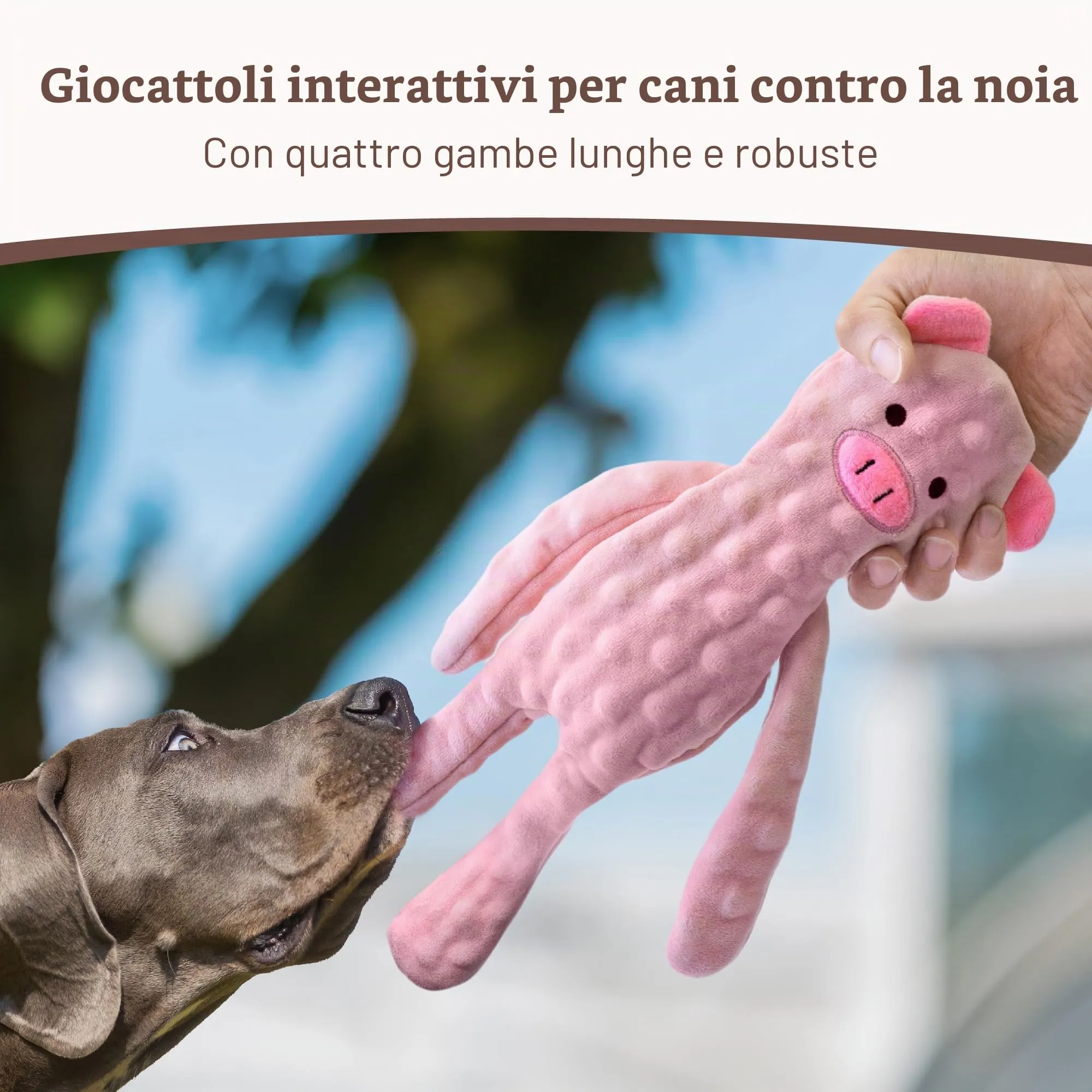 SHARLOVY Giocattoli per Cani Senza Imbottitura, Set da 5 Pezzi Interattivi con Crinkle per Dentizione e Noia - immagine 2