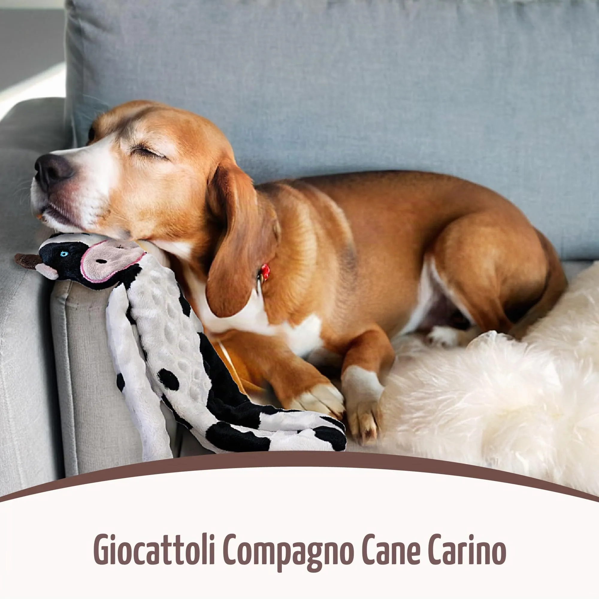 SHARLOVY Giocattoli per Cani Senza Imbottitura, Set da 5 Pezzi Interattivi con Crinkle per Dentizione e Noia - immagine 4