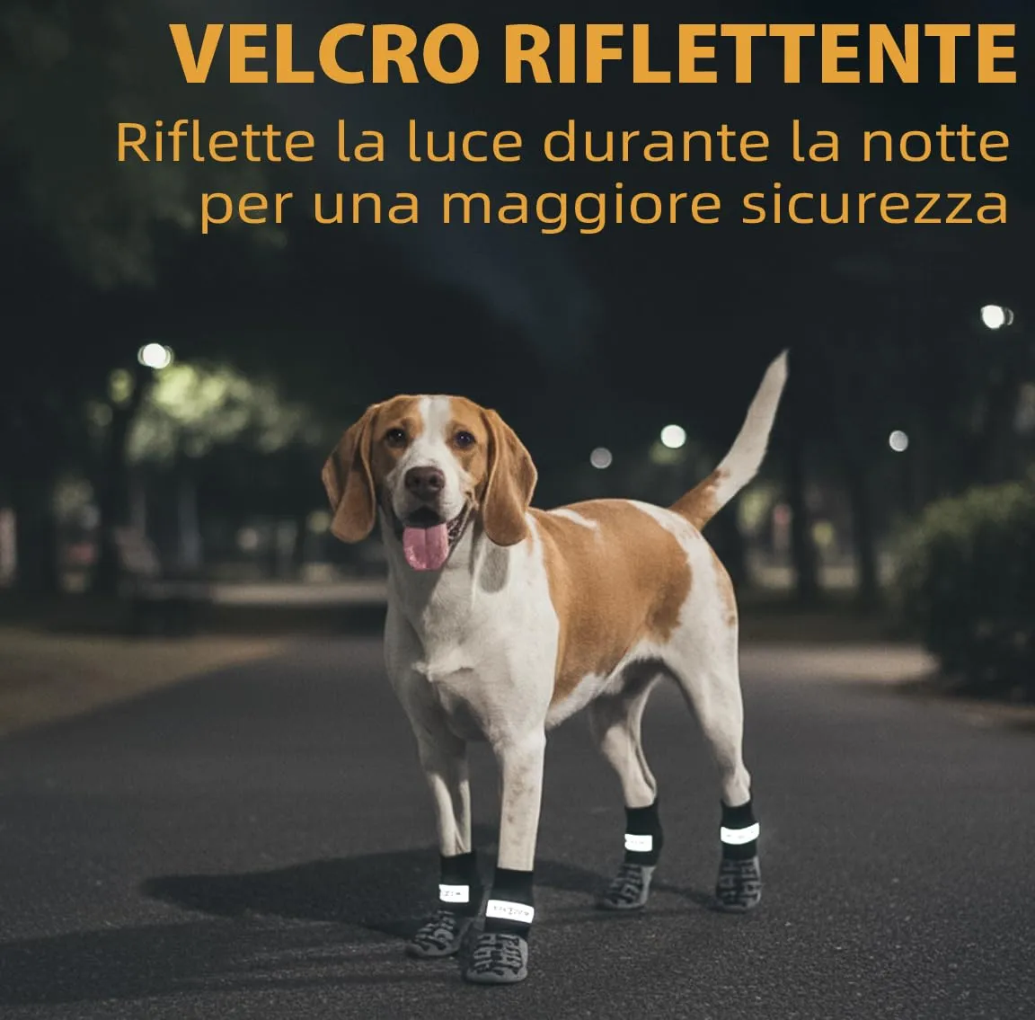 Fantasreen Calzini Antiscivolo per Cani con Osso, 6 Pezzi, Grigio Modern, S - immagine 7