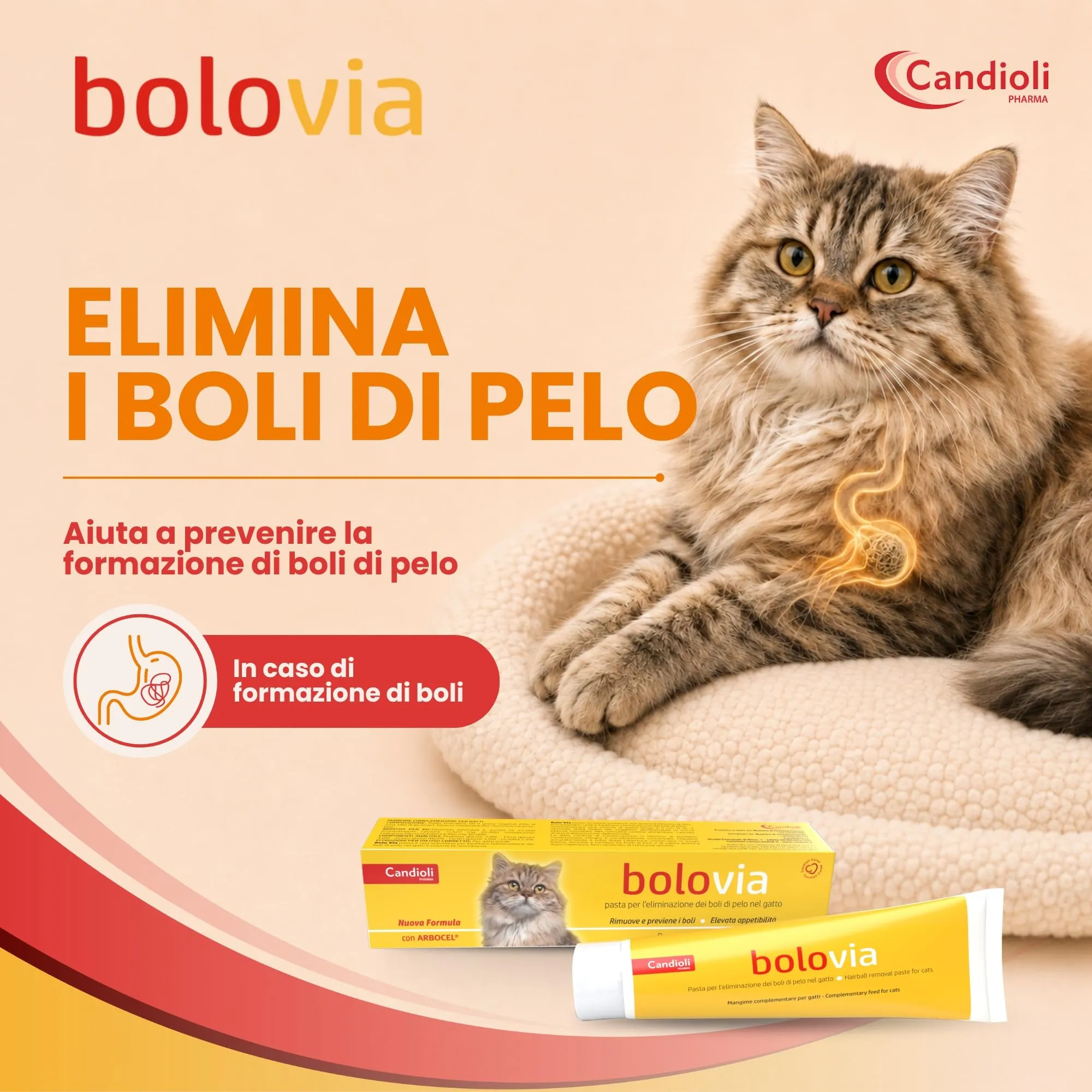 Candioli Bolo Via Pasta al Malto con Arbocel per Gatti Adulti, 100 g - immagine 2