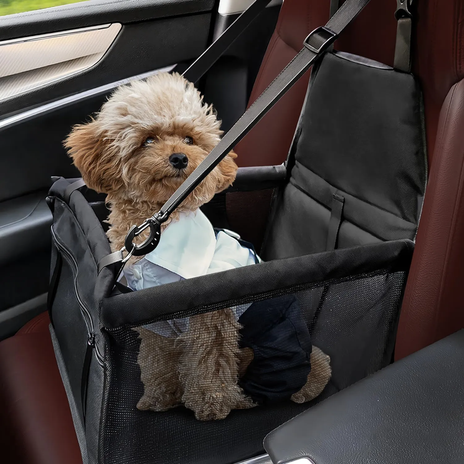 Flagest Seggiolino Auto per Cani di Piccola Taglia fino a 10 kg, Nero - immagine 1