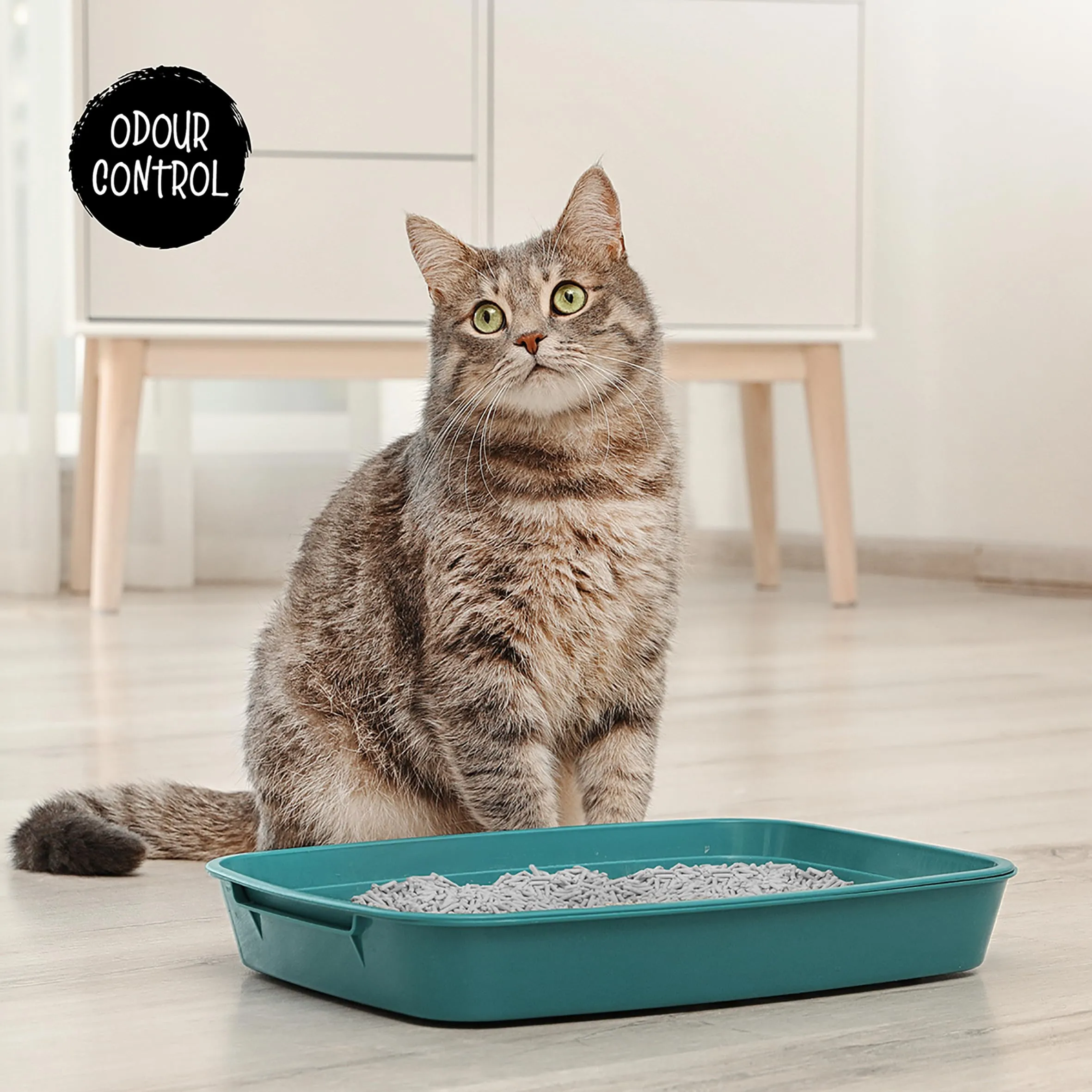 Cat&Rina BeNatural Lettiera per Gatti al Tofu, Agglomerante Vegetale ai Carboni Attivi, 5,5l (Confezione da 2) - immagine 3