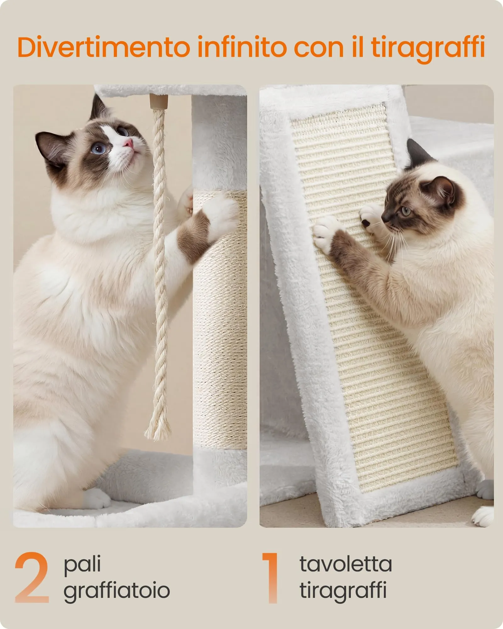 Feandrea Albero per Gatti con Tiragraffi in Sisal e Peluche, 60 x 40 x 86 cm, Bianco Crema - immagine 5