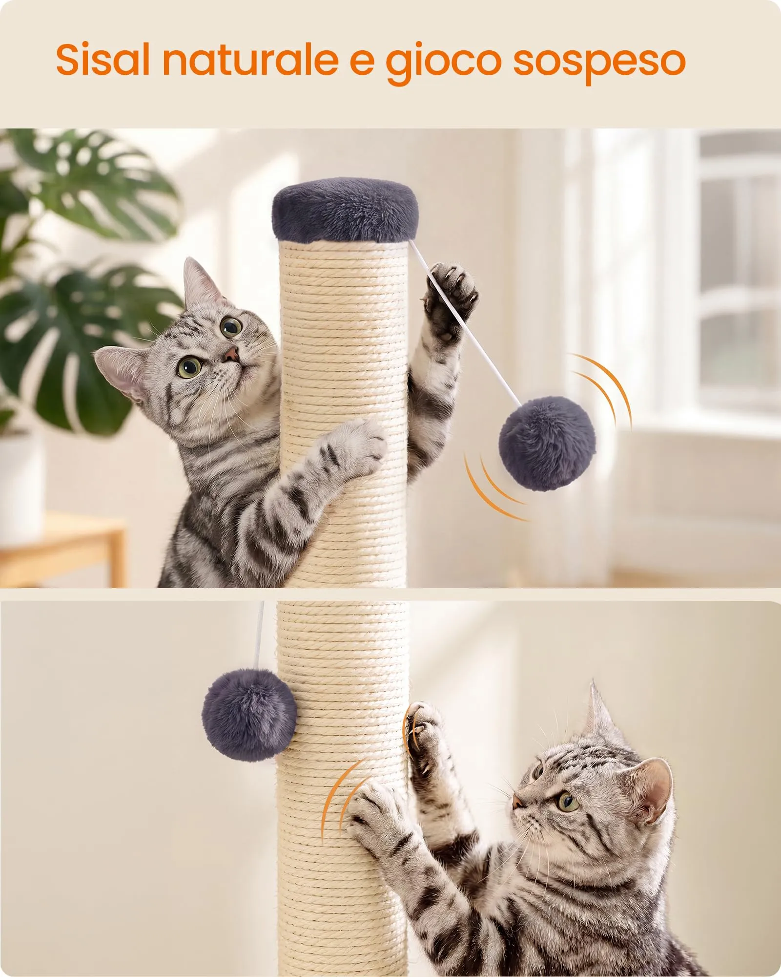 Feandrea Tiragraffi per Gatti in Sisal Naturale, 40 x 40 x 84 cm, Grigio Scuro - immagine 5