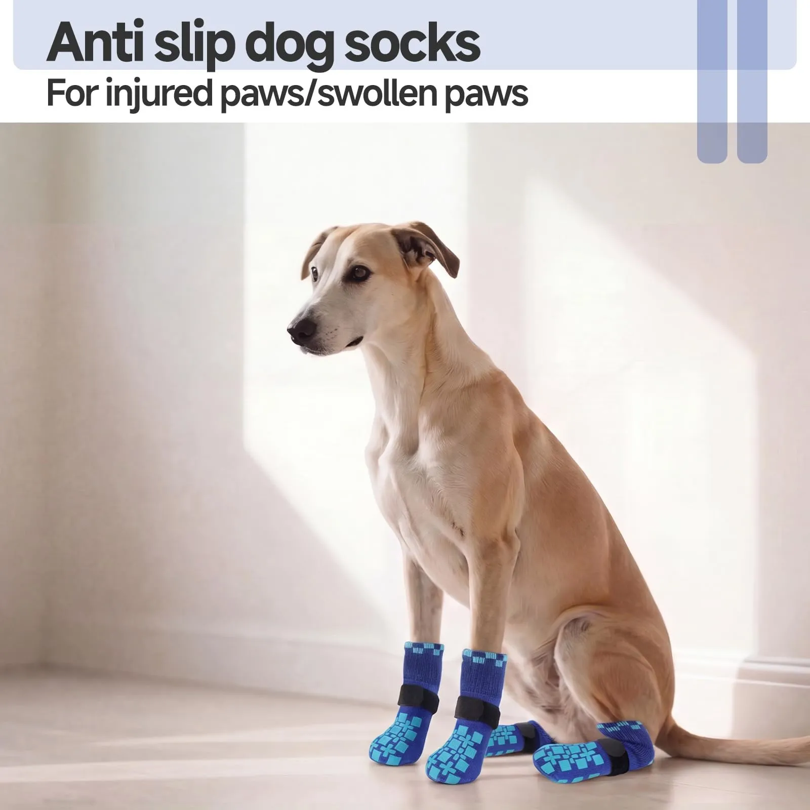 PUMYPOREITY Calzini Natalizi Antiscivolo per Cani, Blu, M (2 Paia) - immagine 3