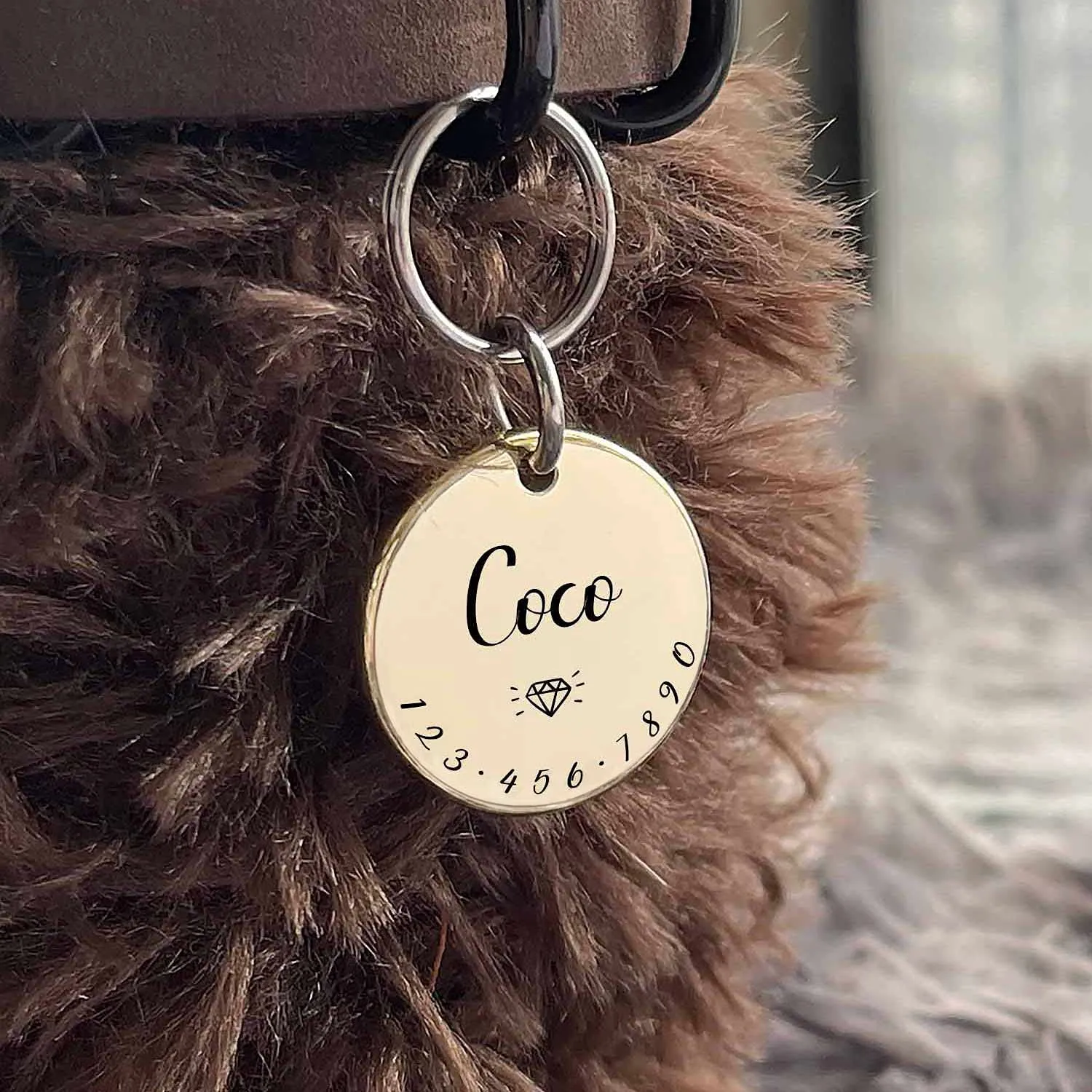Acatinthetree Medaglietta Identificativa Personalizzata per Cane e Gatto in Ottone, Medio 29 mm - immagine 7