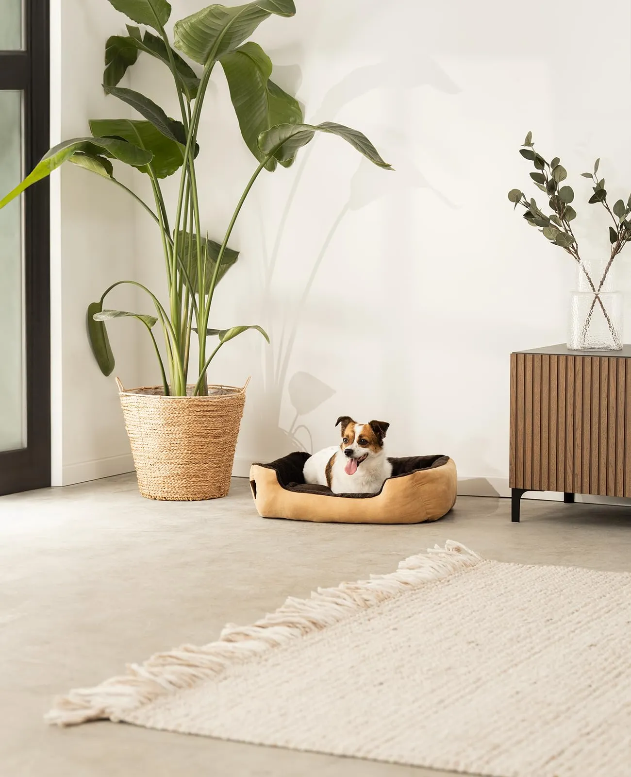 lionto Cuccia per Cani con Cuscino Reversibile, 60 x 48 cm, Beige/Marrone - immagine 2