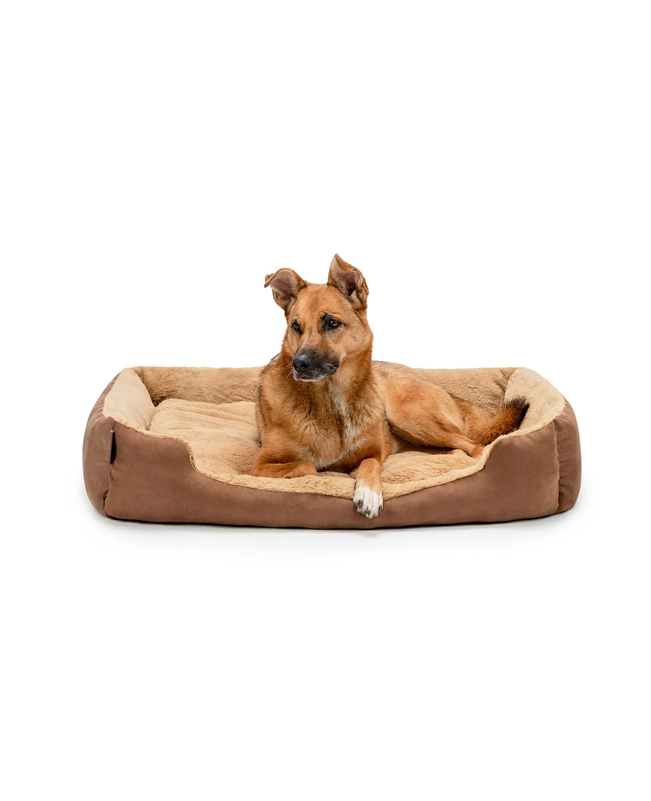 lionto Letto per Cani con Cuscino Reversibile, Taglia XL, Beige/Marrone - immagine 1