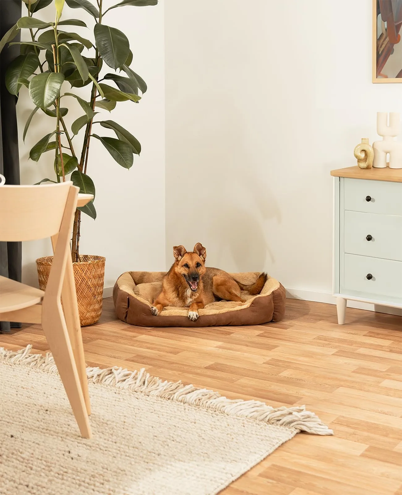 lionto Letto per Cani con Cuscino Reversibile, Taglia XL, Beige/Marrone - immagine 2