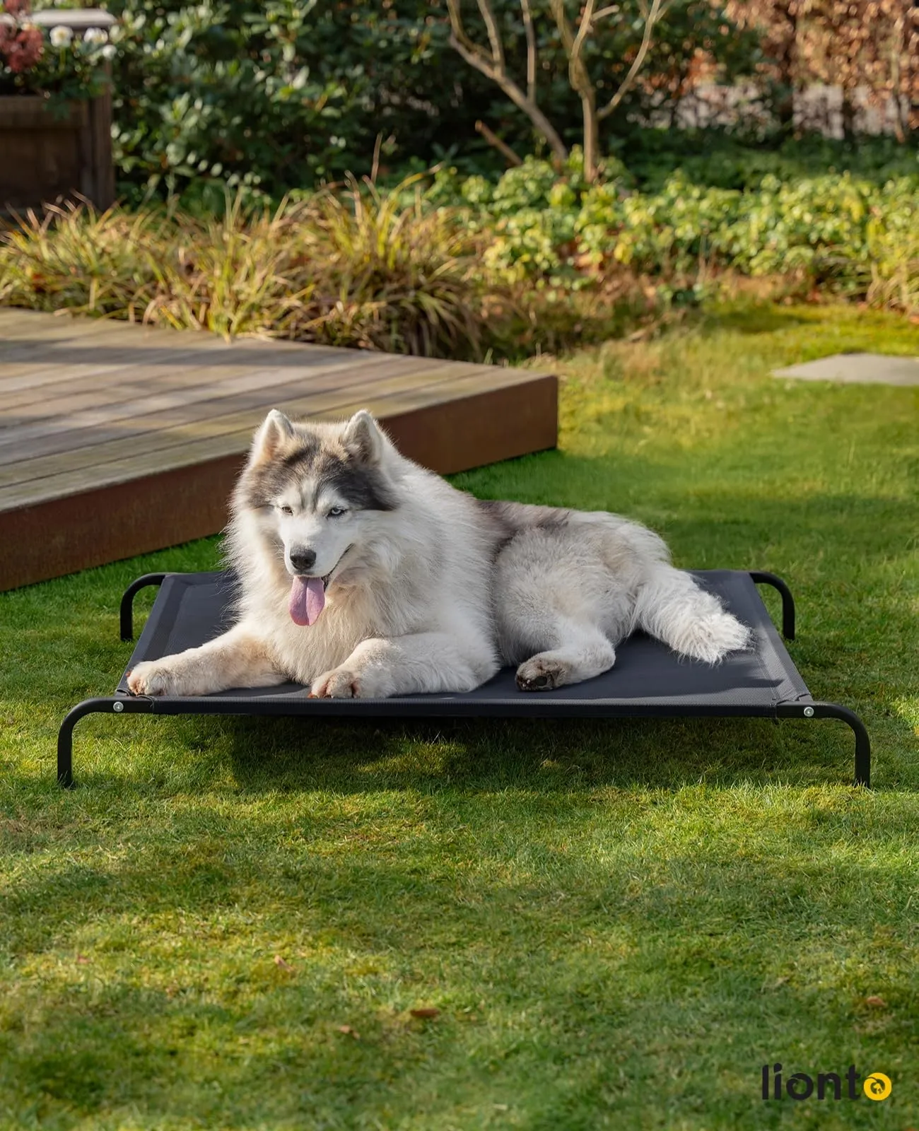 lionto Lettino Rialzato da Esterno per Cani, 117 x 85 cm, Nero - immagine 2