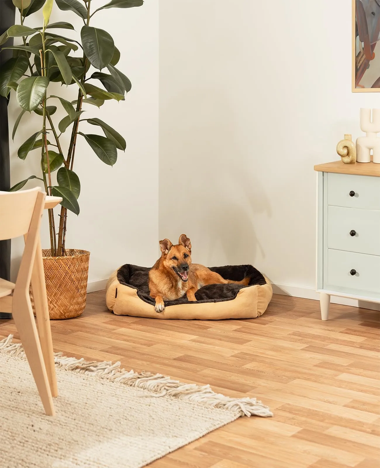 lionto Cuccia per Cani con Cuscino Reversibile, 90 x 70 cm, Beige/Marrone - immagine 2