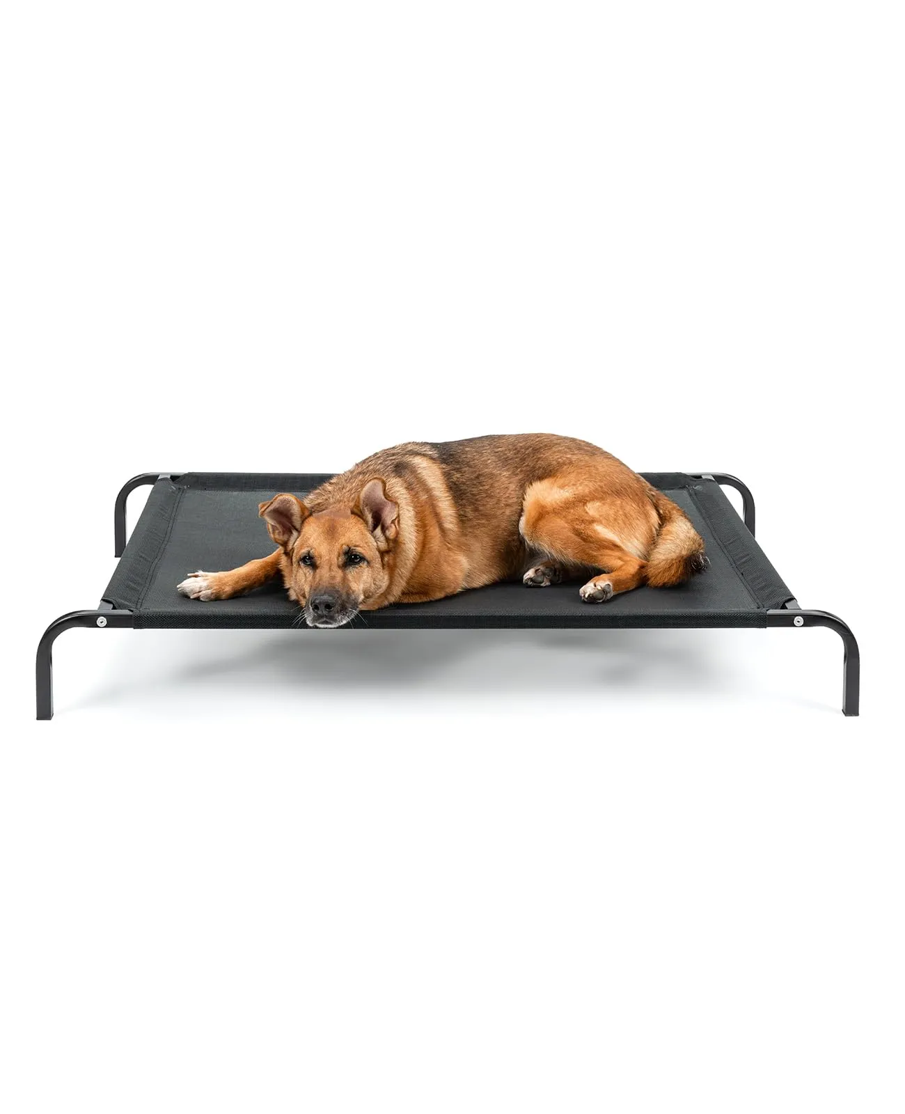 lionto Lettino Rialzato da Esterno per Cani, 114 x 76 cm, Nero - immagine 1