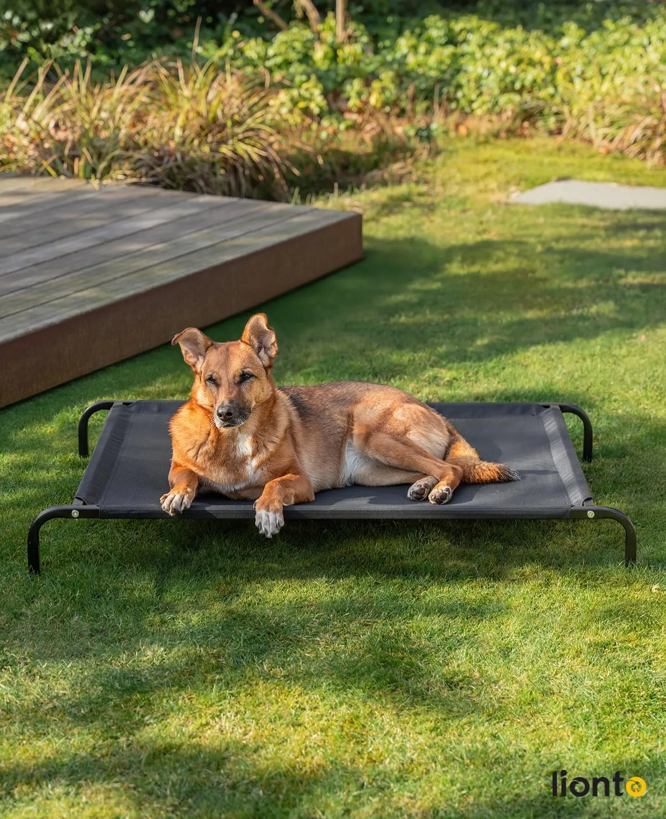 lionto Lettino Rialzato da Esterno per Cani, 114 x 76 cm, Nero - immagine 2