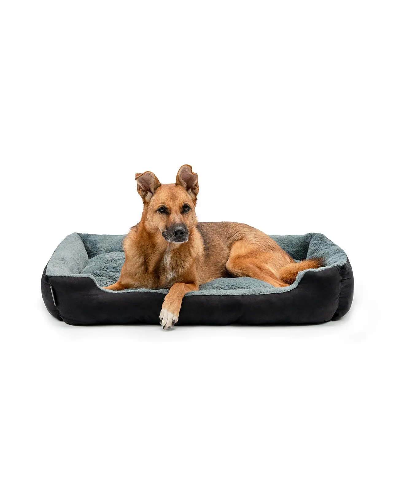 lionto Cuccia Cane con Cuscino Reversibile, 90 x 70 cm, Nero - immagine 1