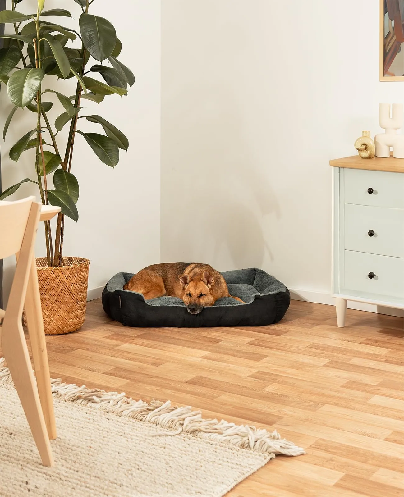 lionto Cuccia Cane con Cuscino Reversibile, 90 x 70 cm, Nero - immagine 2