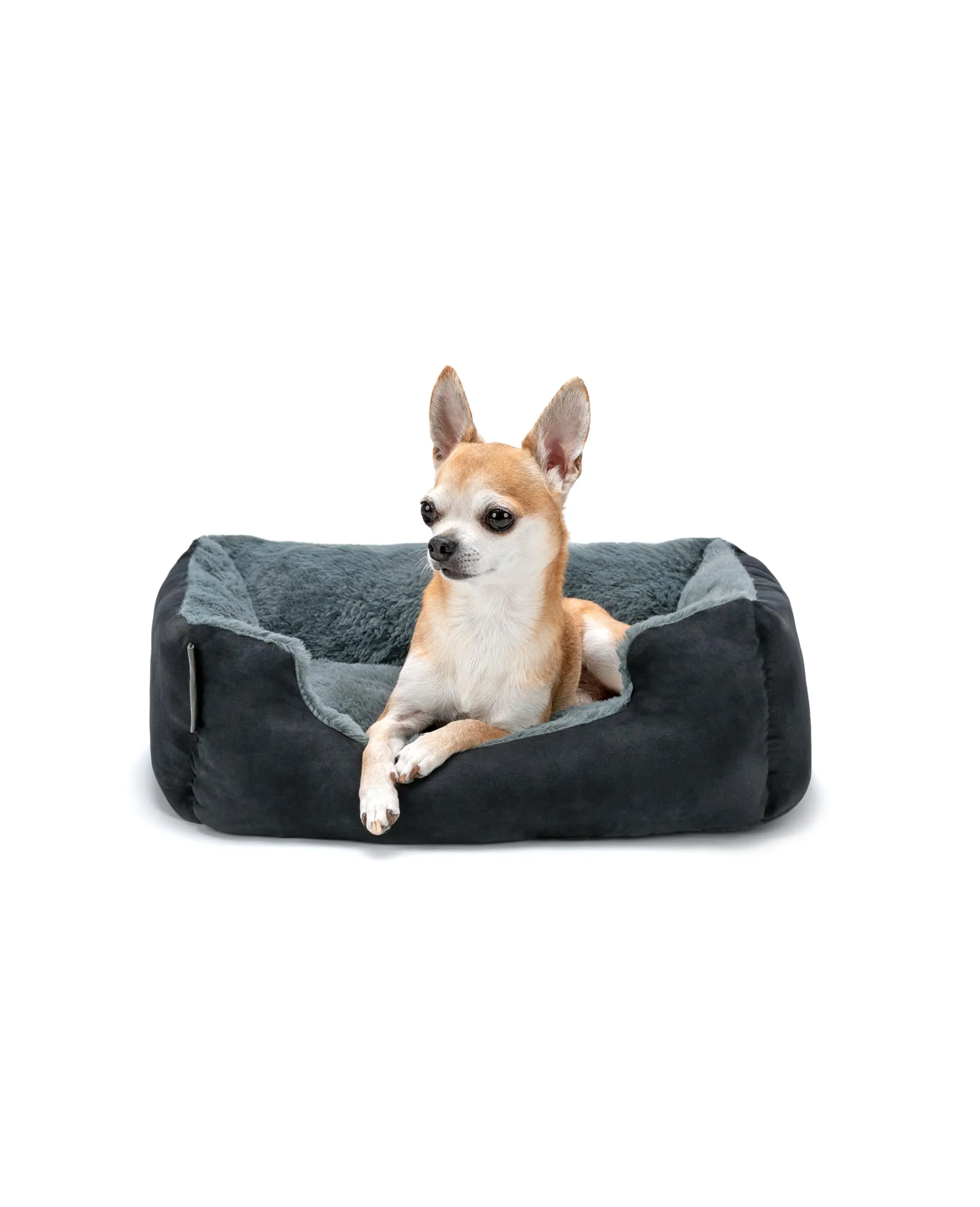 lionto Cuccia Cane con Cuscino Reversibile, 50 x 37 cm, Nero - immagine 1
