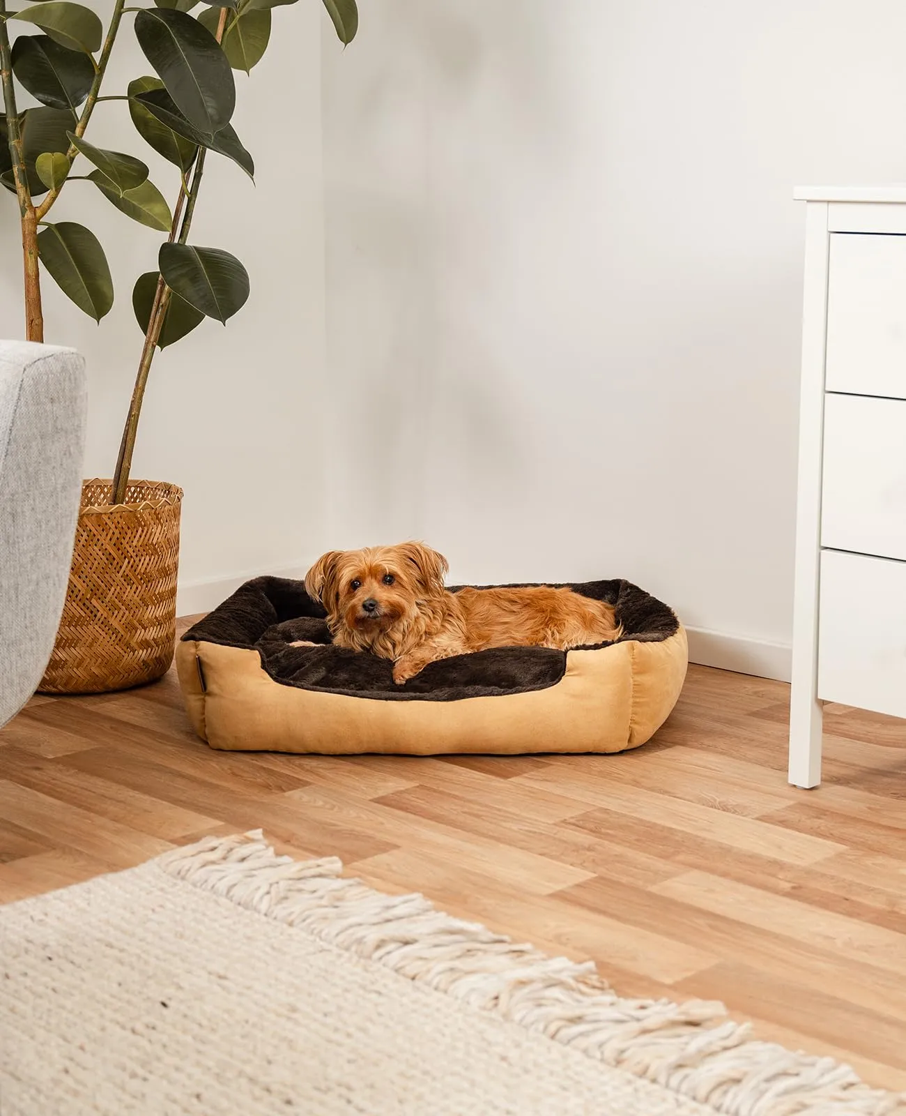 lionto Cuccia per Cani con Cuscino Reversibile, 75 x 60 cm, Beige/Marrone - immagine 2