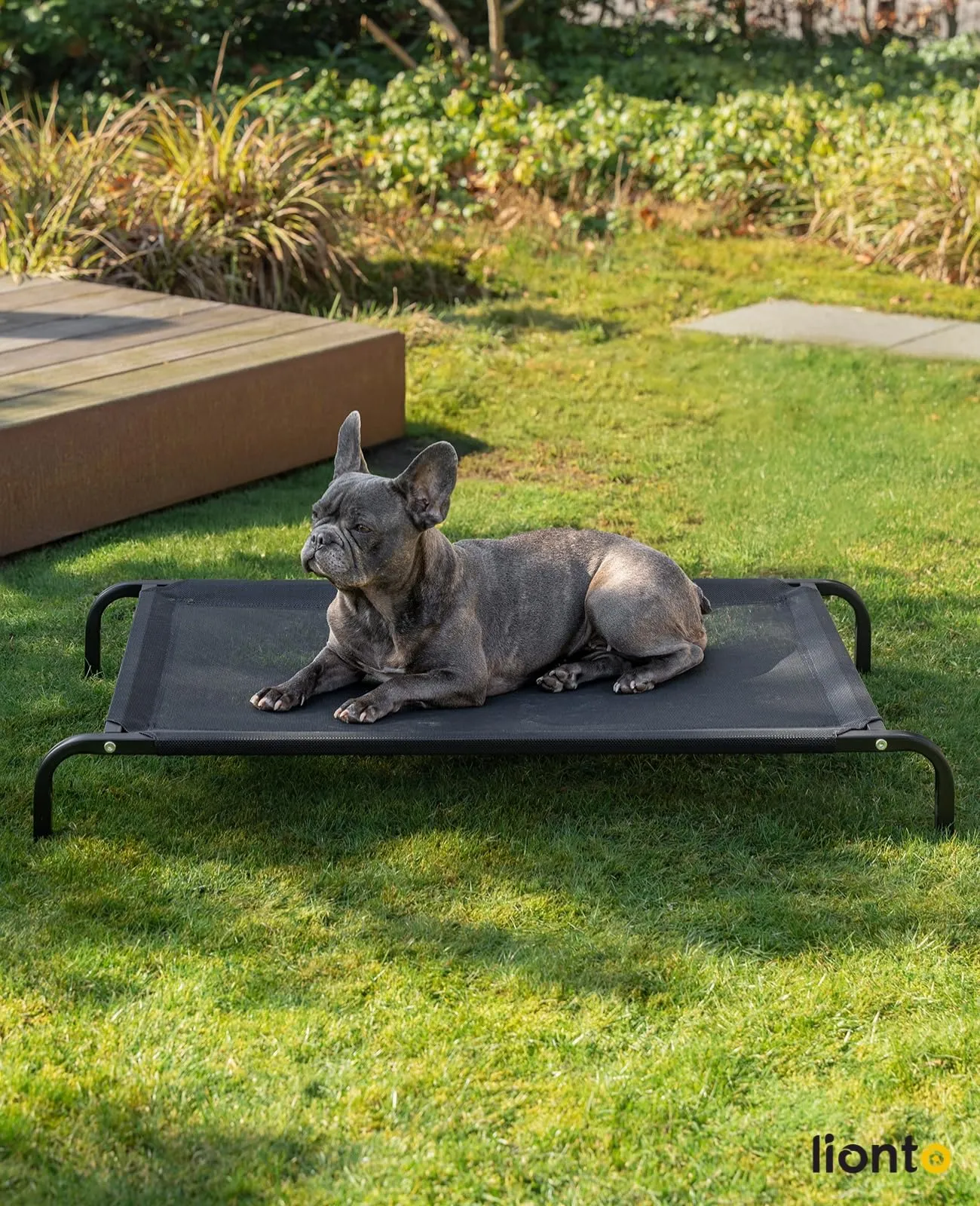 lionto Lettino Rialzato da Esterno per Cani, 106 x 62 cm, Nero - immagine 2