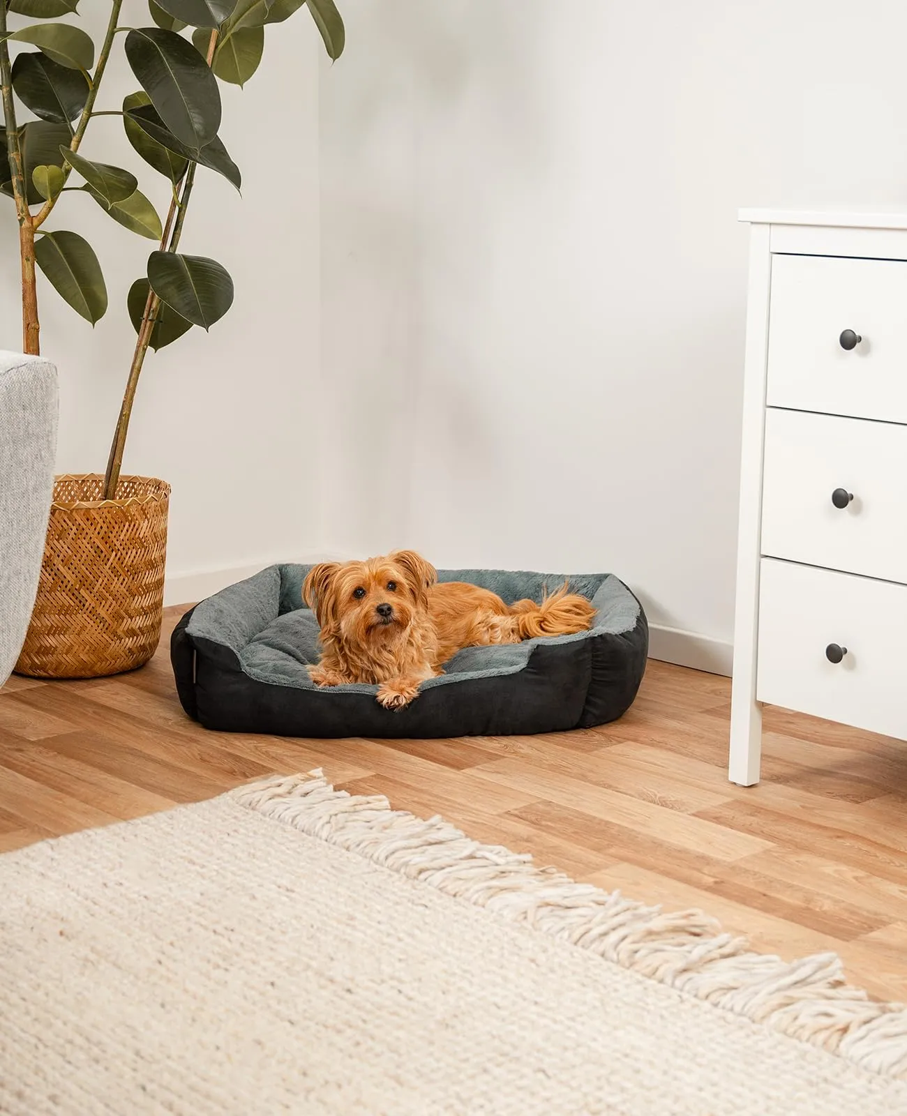lionto Cuccia Cane con Cuscino Reversibile, 75 x 60 cm, Nero - immagine 2