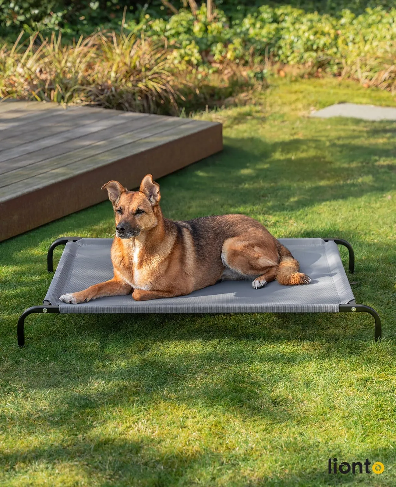 lionto Lettino Rialzato da Esterno per Cani, 114 x 76 cm, Grigio - immagine 2