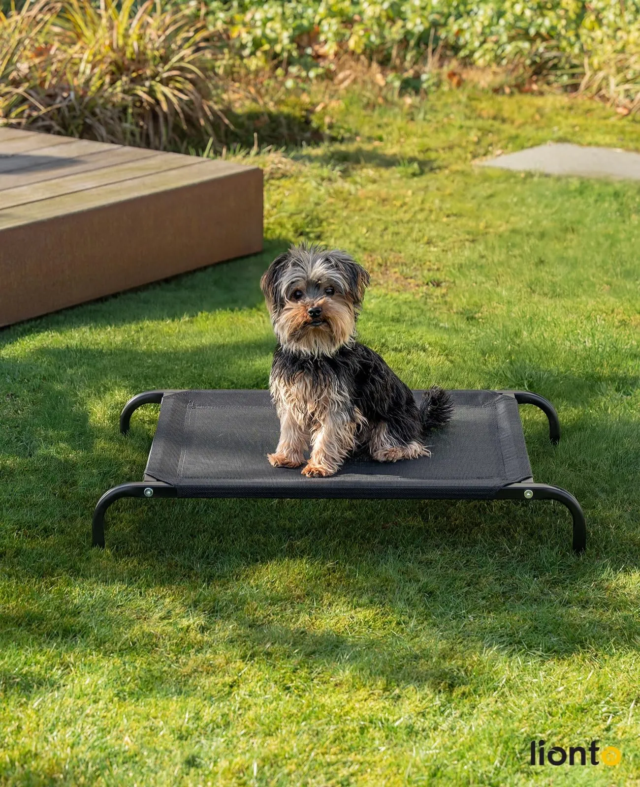 lionto Lettino Rialzato da Esterno per Cani, 75 x 47 cm, Nero - immagine 2