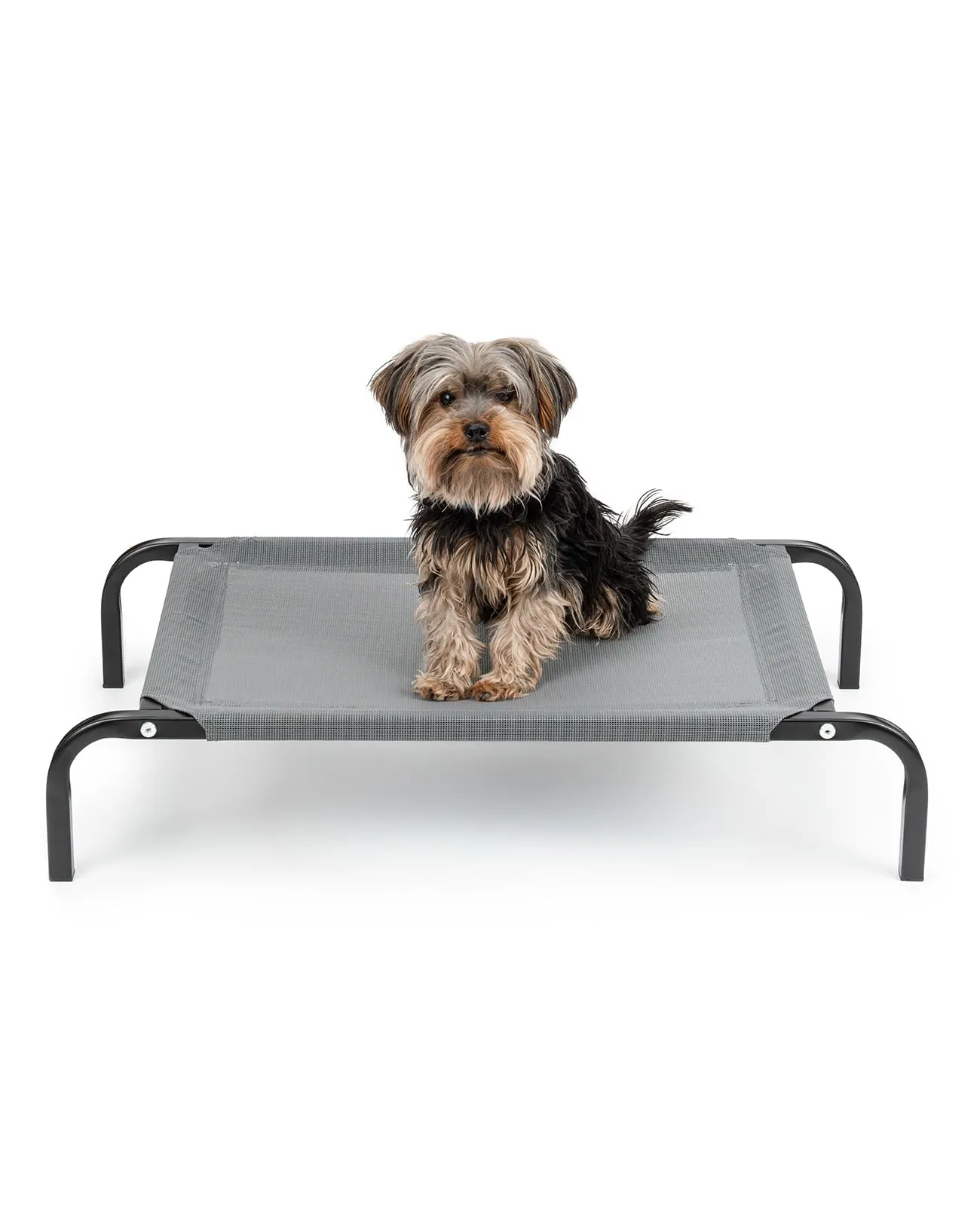 lionto Lettino Rialzato da Esterno per Cani, 75 x 47 cm, Grigio - immagine 1