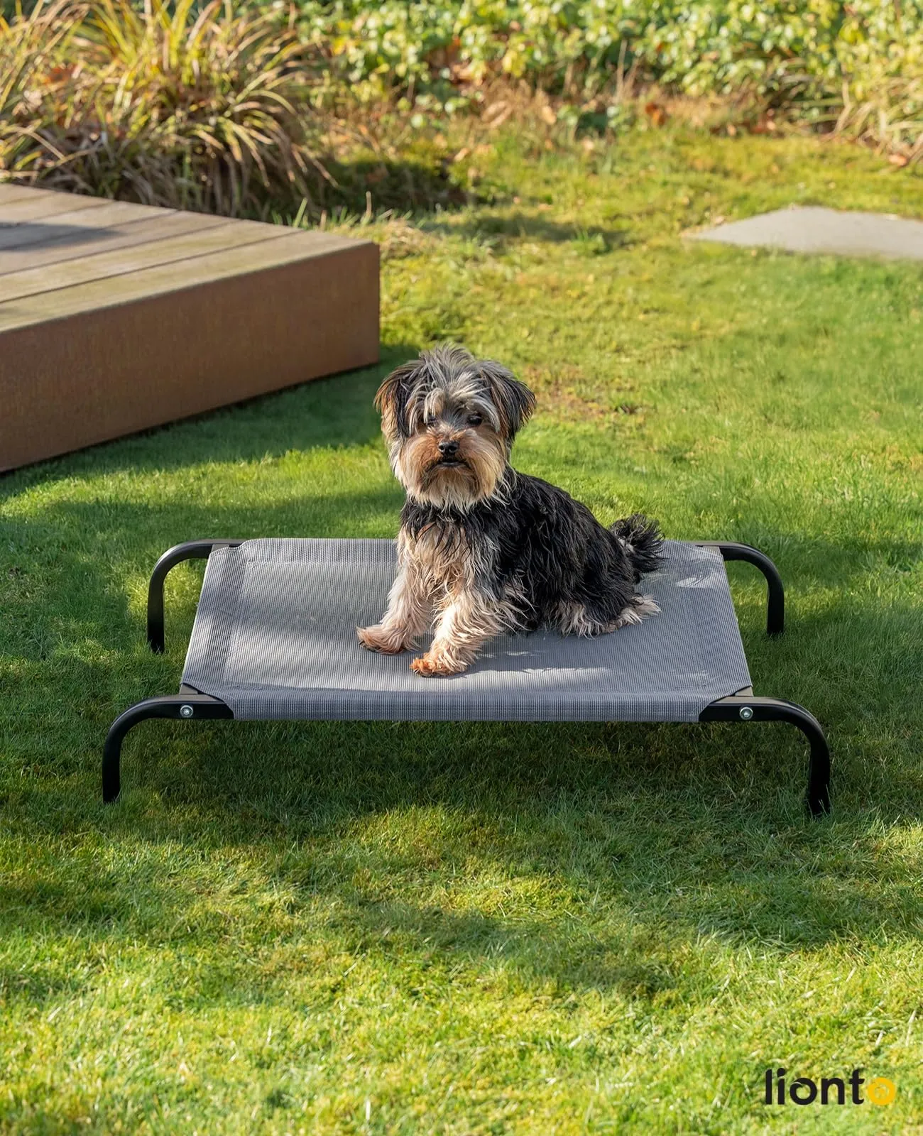 lionto Lettino Rialzato da Esterno per Cani, 75 x 47 cm, Grigio - immagine 2