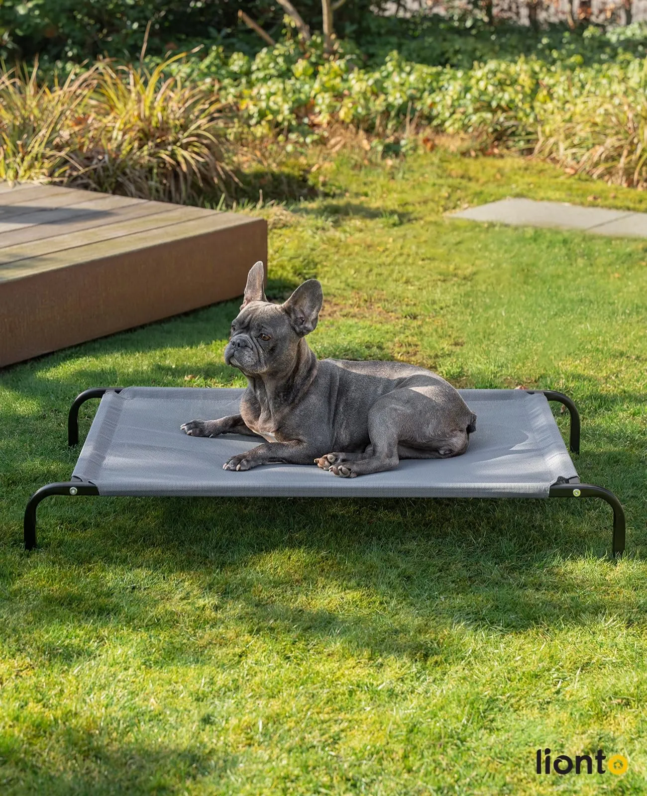 lionto Lettino Rialzato da Esterno per Cani, 106 x 62 cm, Grigio - immagine 2