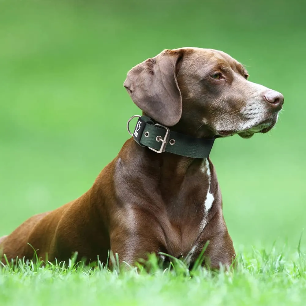 TSPRO Collare Tattico per Cane con Fodera Morbida, Verde, Taglia S (32–40 cm) - immagine 6