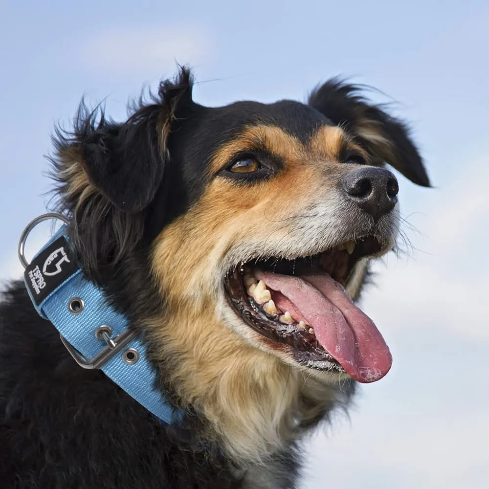 TSPRO Collare Tattico per Cane con Fodera Morbida, Taglia M, Blu - immagine 6