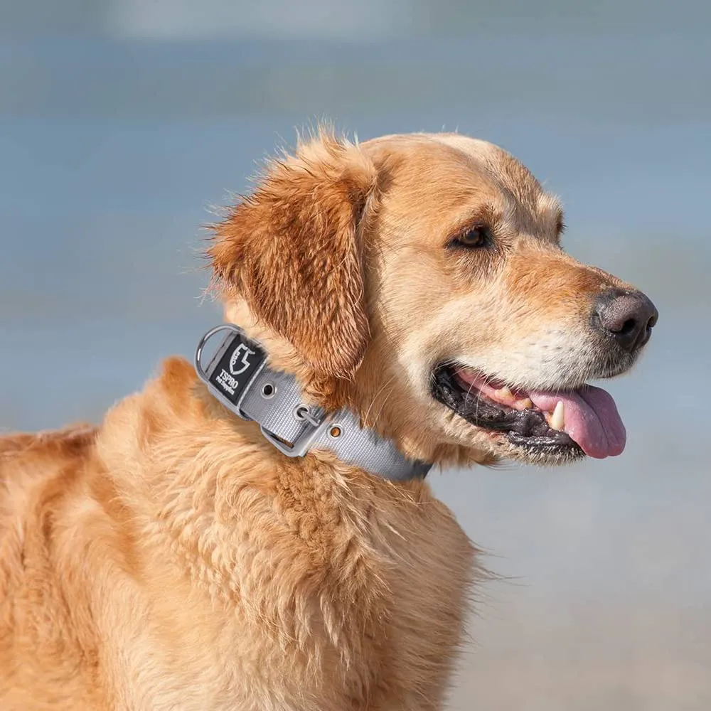 TSPRO Collare Tattico per Cane con Fodera Morbida, Taglia L (48–55 cm), Grigio - immagine 6