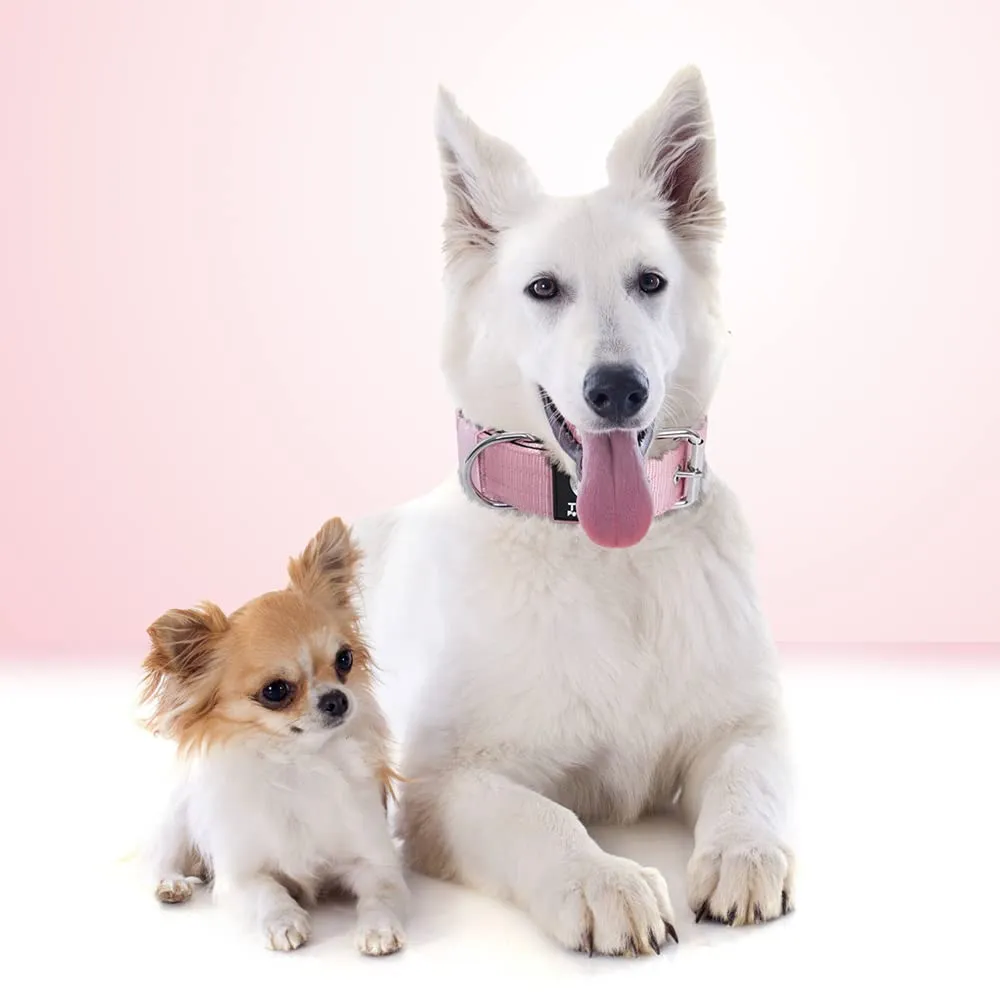 TSPRO Collare Tattico per Cane con Fodera Morbida, Taglia M (40–48 cm), Rosa - immagine 6